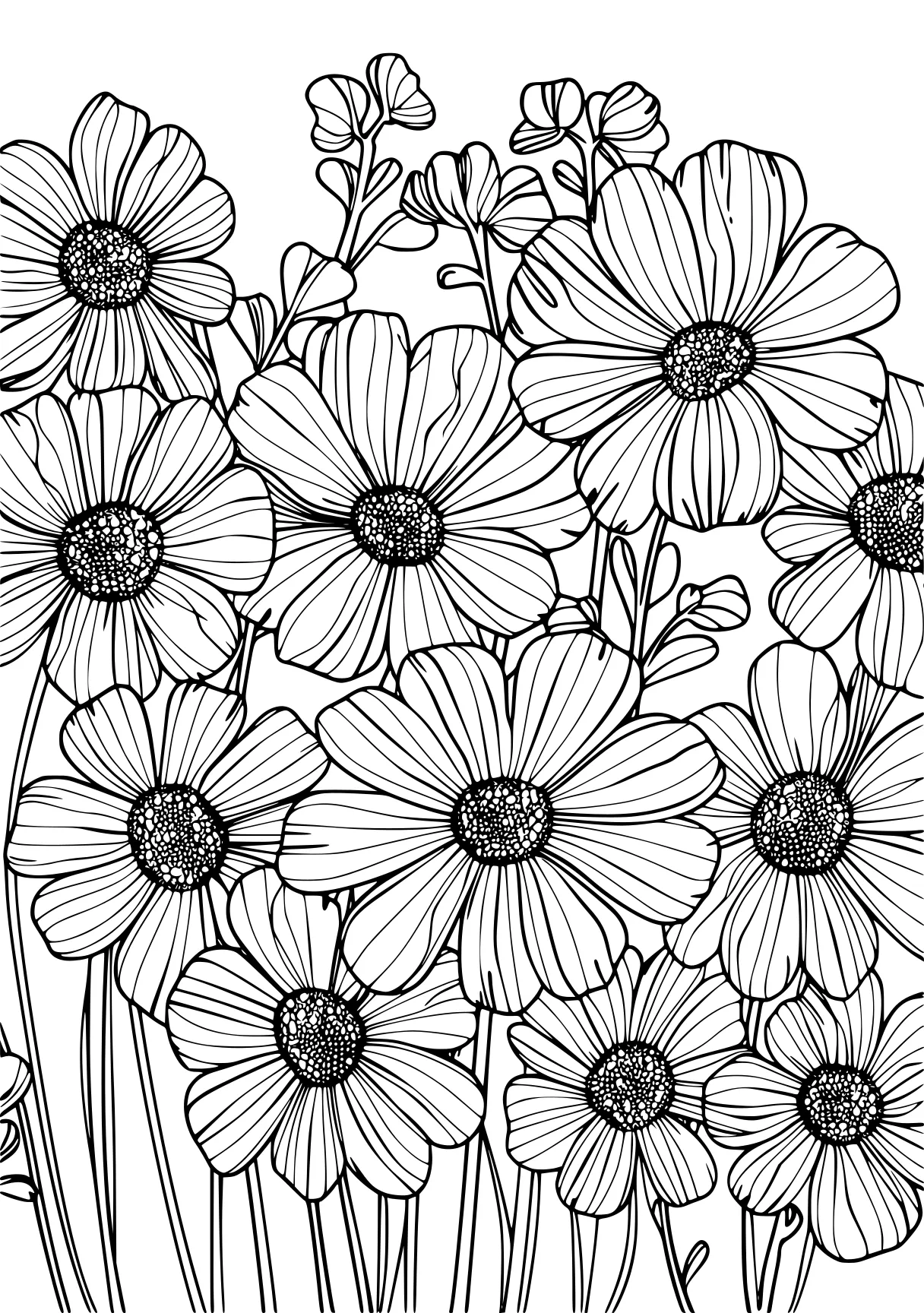 coloring pages printable flowers, daisy, sunflower, pattern, free page downloads