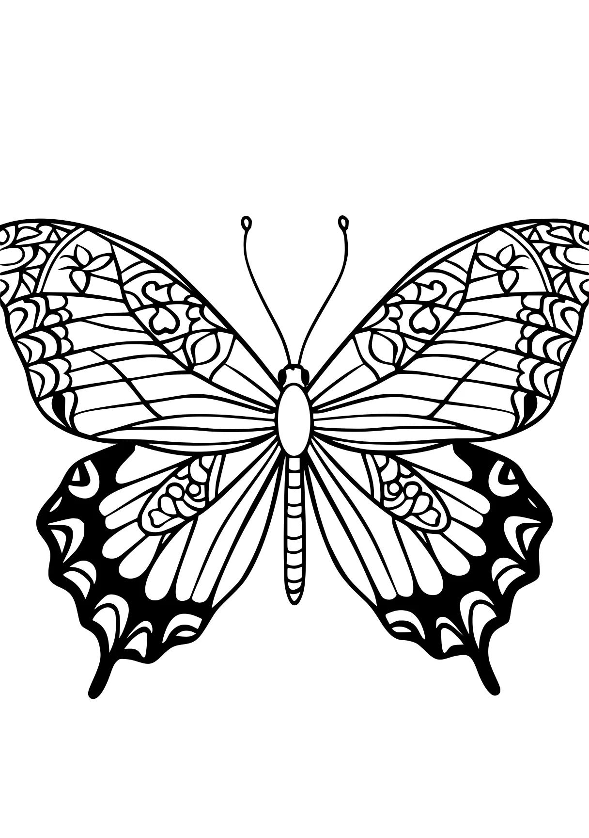 butterfly coloring pages butterfly, butterflies, insect, free page downloads