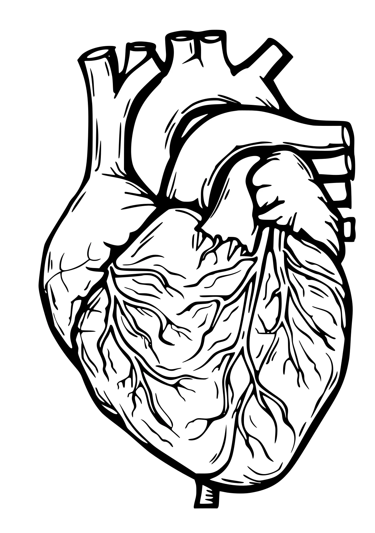 heart coloring pages heart, hand, anatomy, iheartcraftythings, illustrator, free page downloads