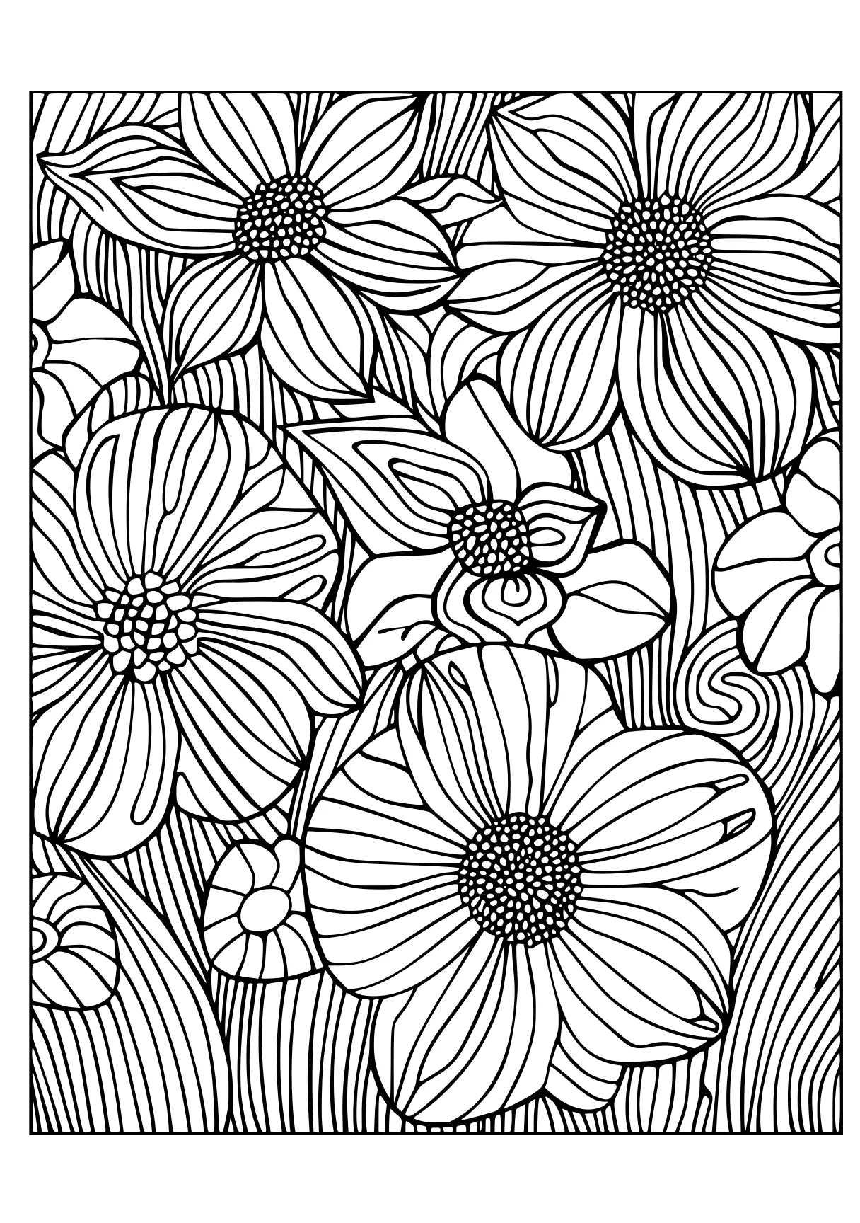 adult coloring pages, zentangle, pattern, patterns, free page downloads