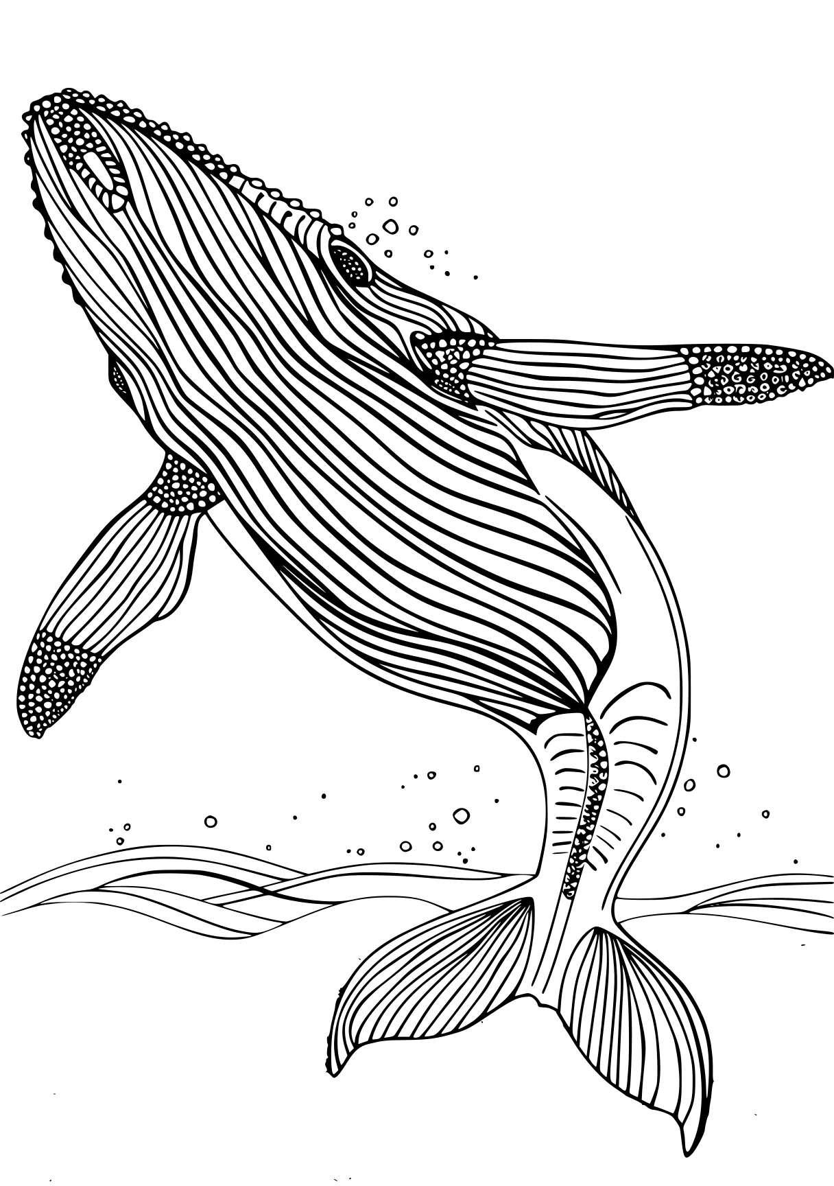 whale coloring page whale, dolphin, whales, orca, fish, free downloads