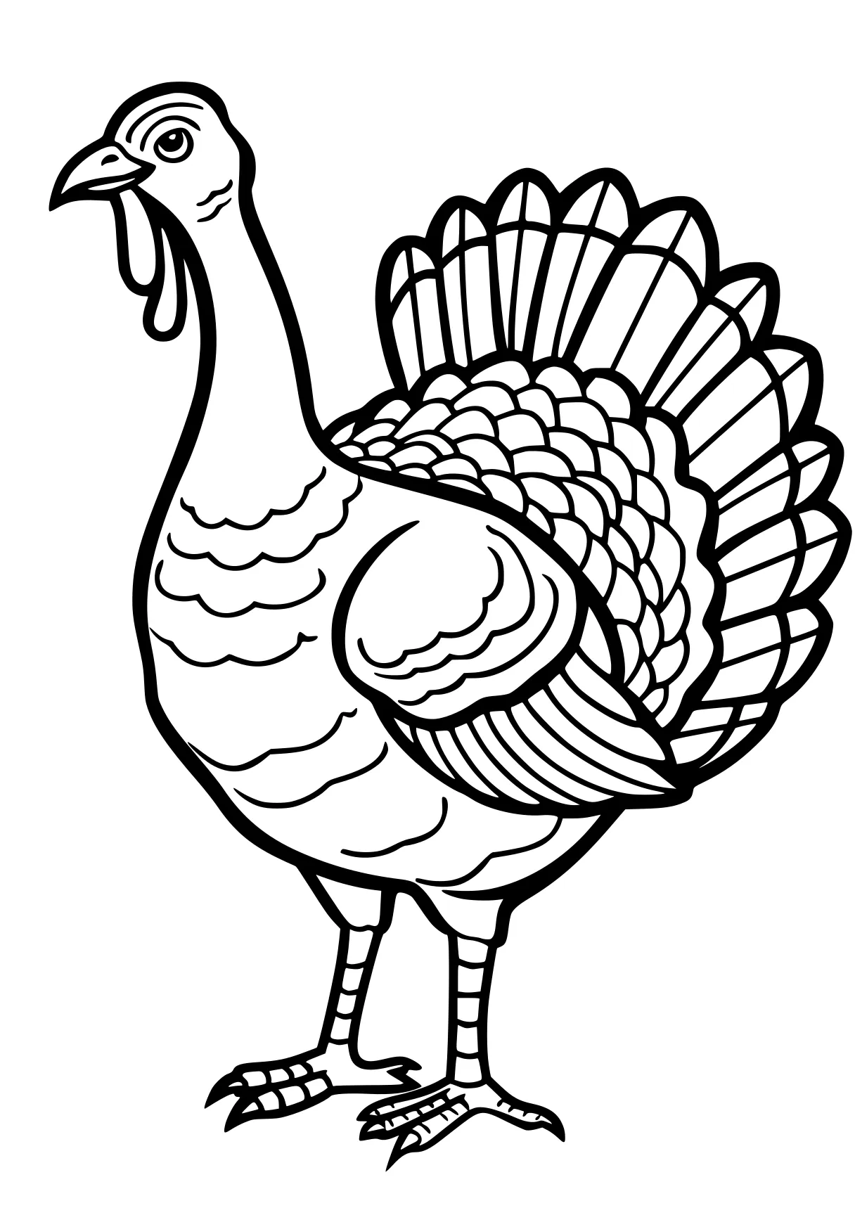 turkey pictures to color rooster, turkey, thanksgiving, size, free coloring page downloads