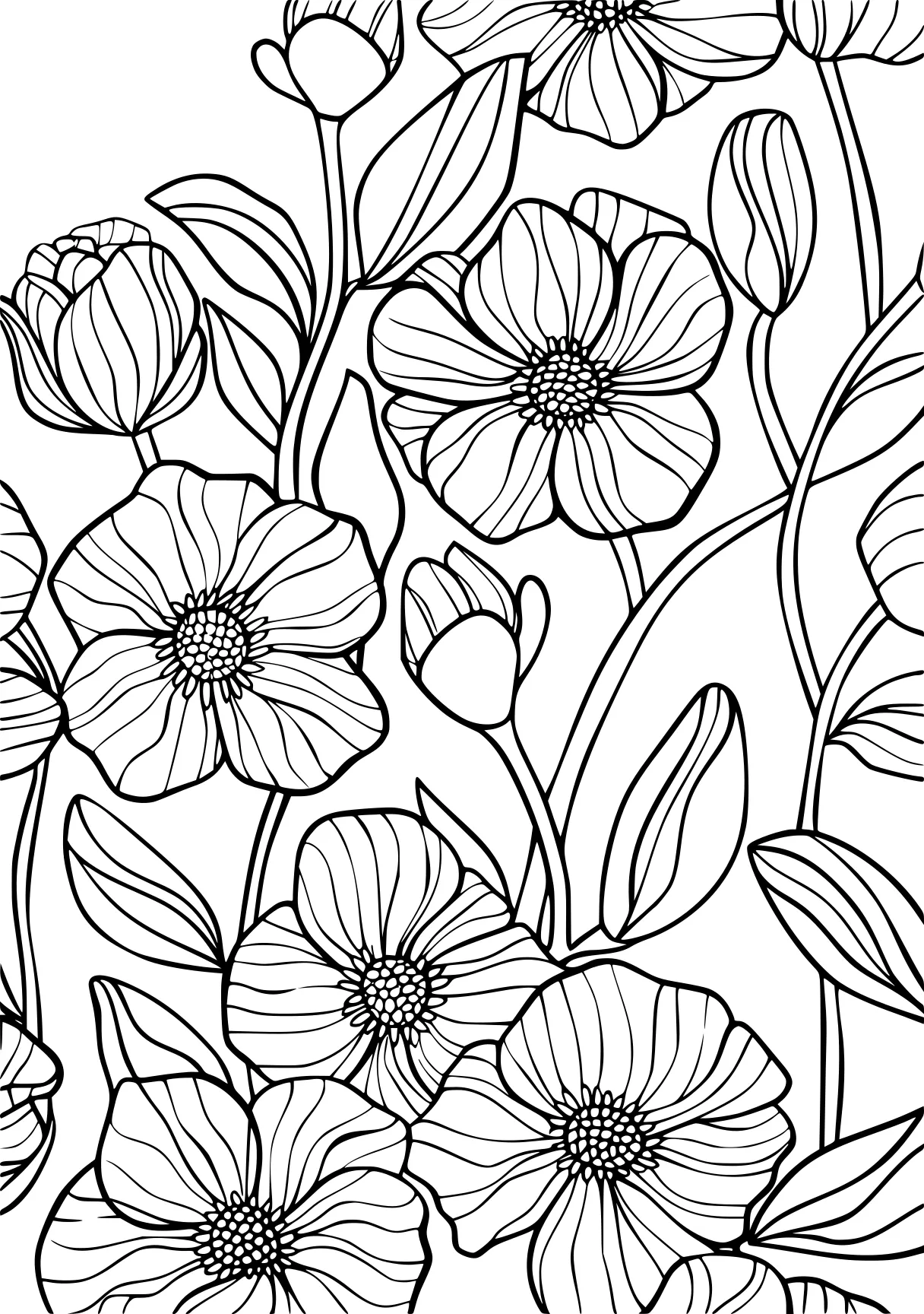 floral coloring pages, pattern, colouring, patterns, free page downloads