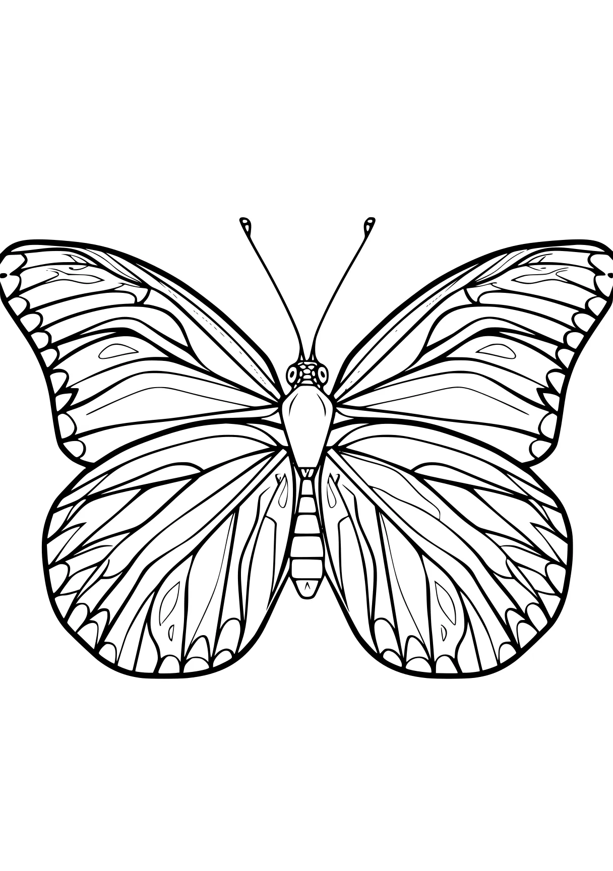 butterfly coloring pages butterfly, adult, insect, butterflies, insects, free page downloads