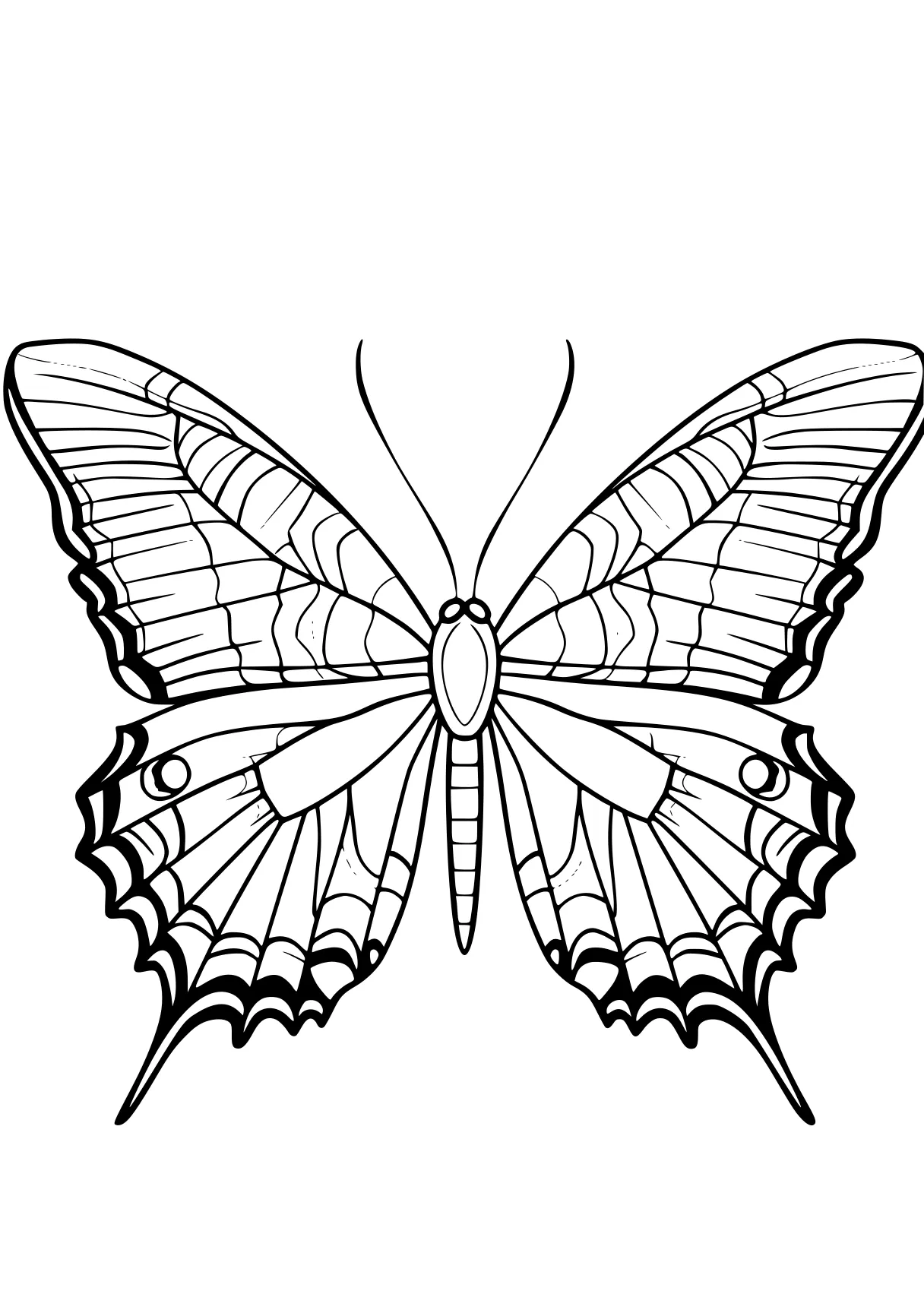 butterfly coloring butterfly, insect, butterflies, free page downloads