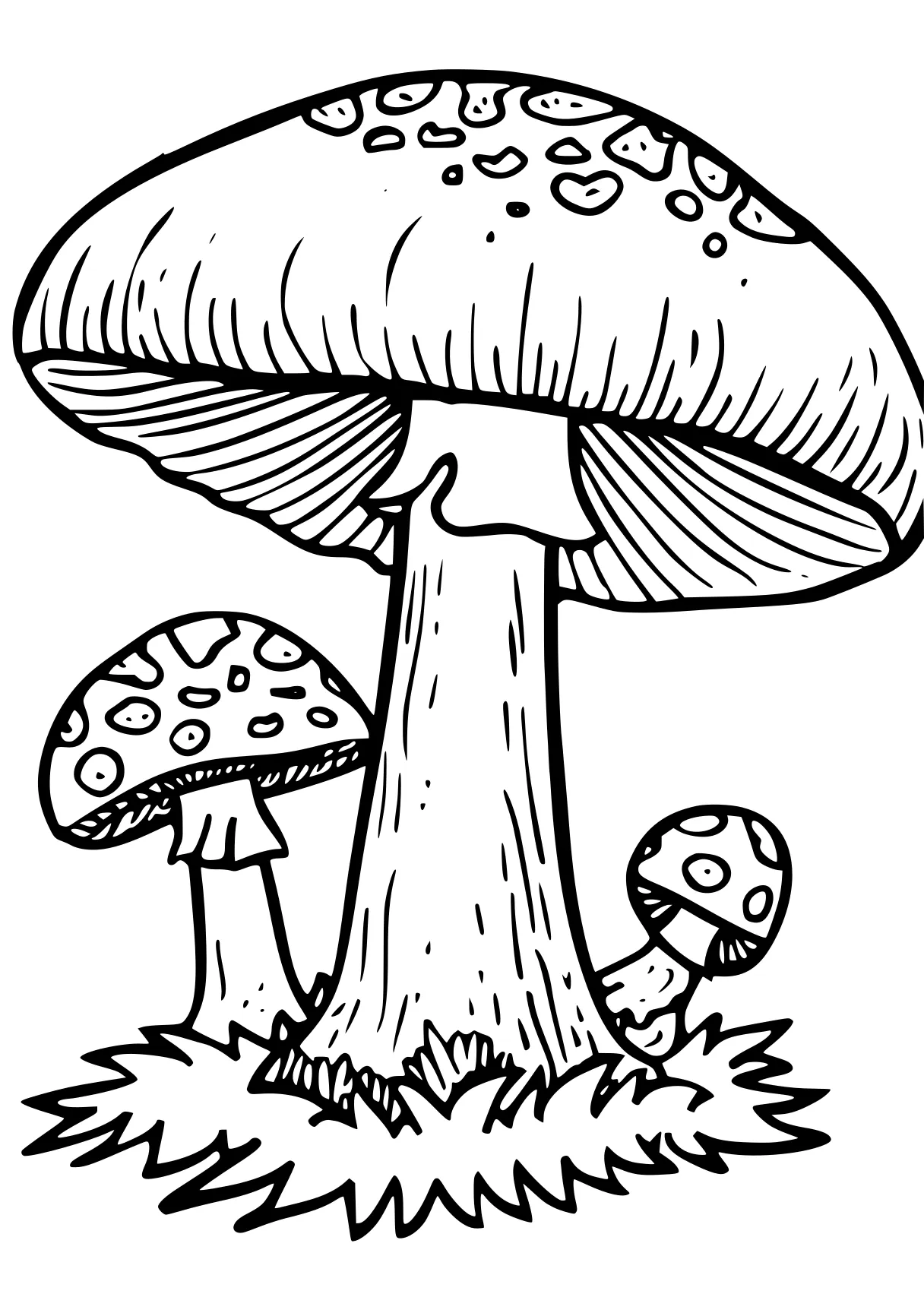 mushroom coloring page mushroom, illustrator, size, free downloads