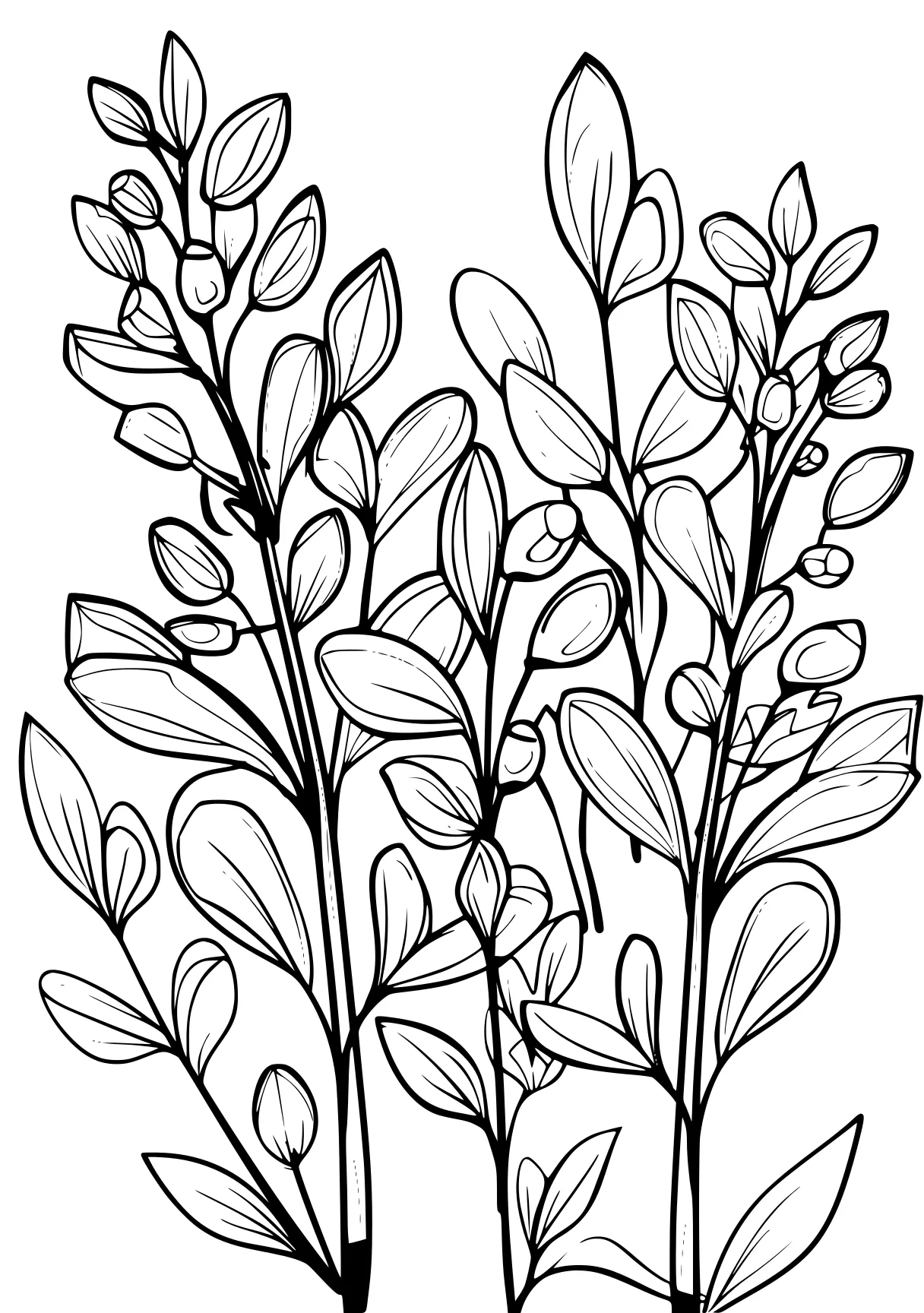 plant coloring pages, plant, plants, colouring, free page downloads