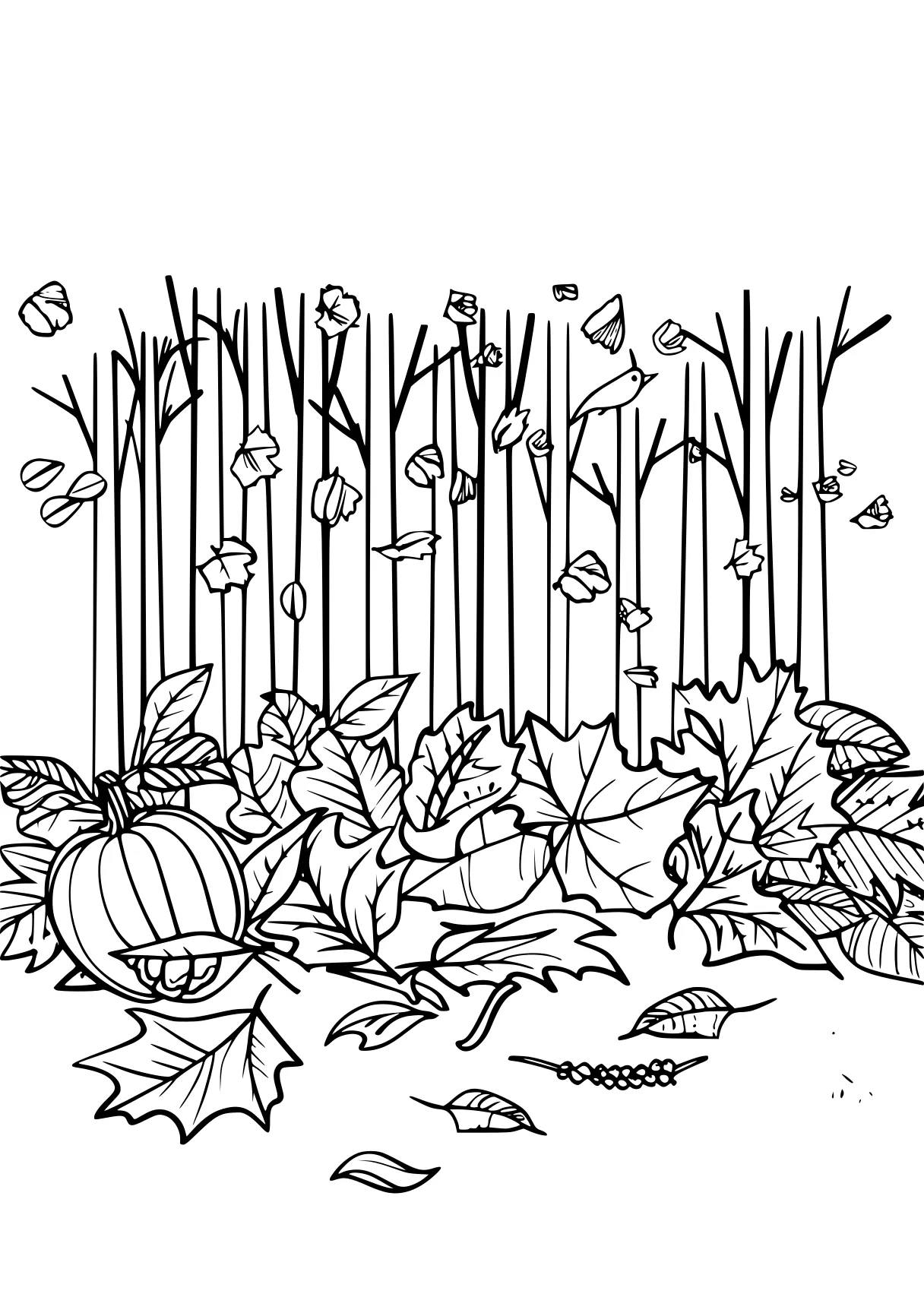 autumn coloring pages, plants, pencils, garten, free page downloads