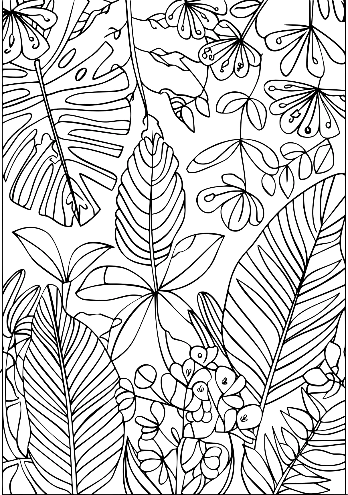 plant coloring pages, pattern, plants, colouring, free page downloads