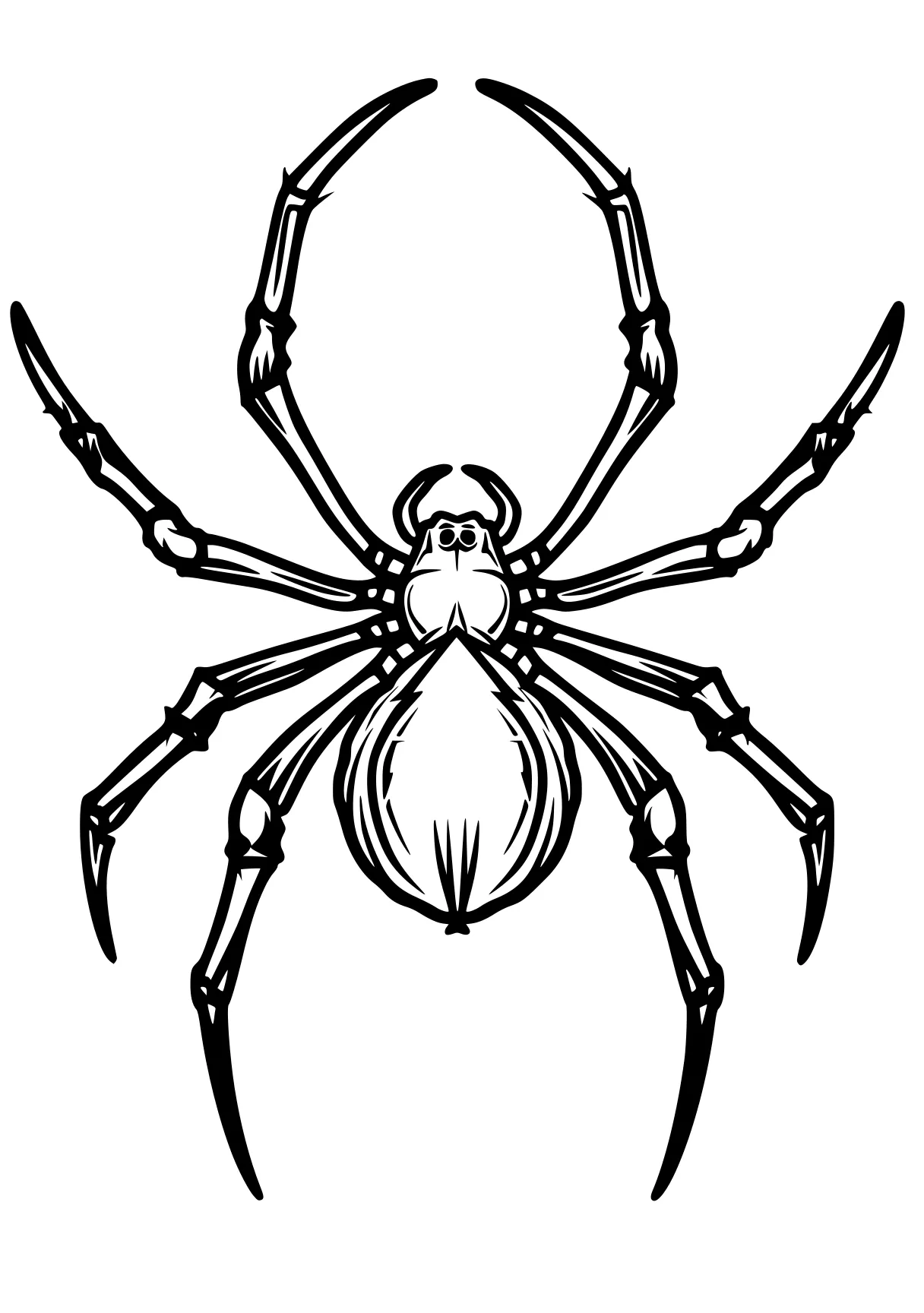 spider coloring page spider, insect, size, scorpion, crab, free downloads