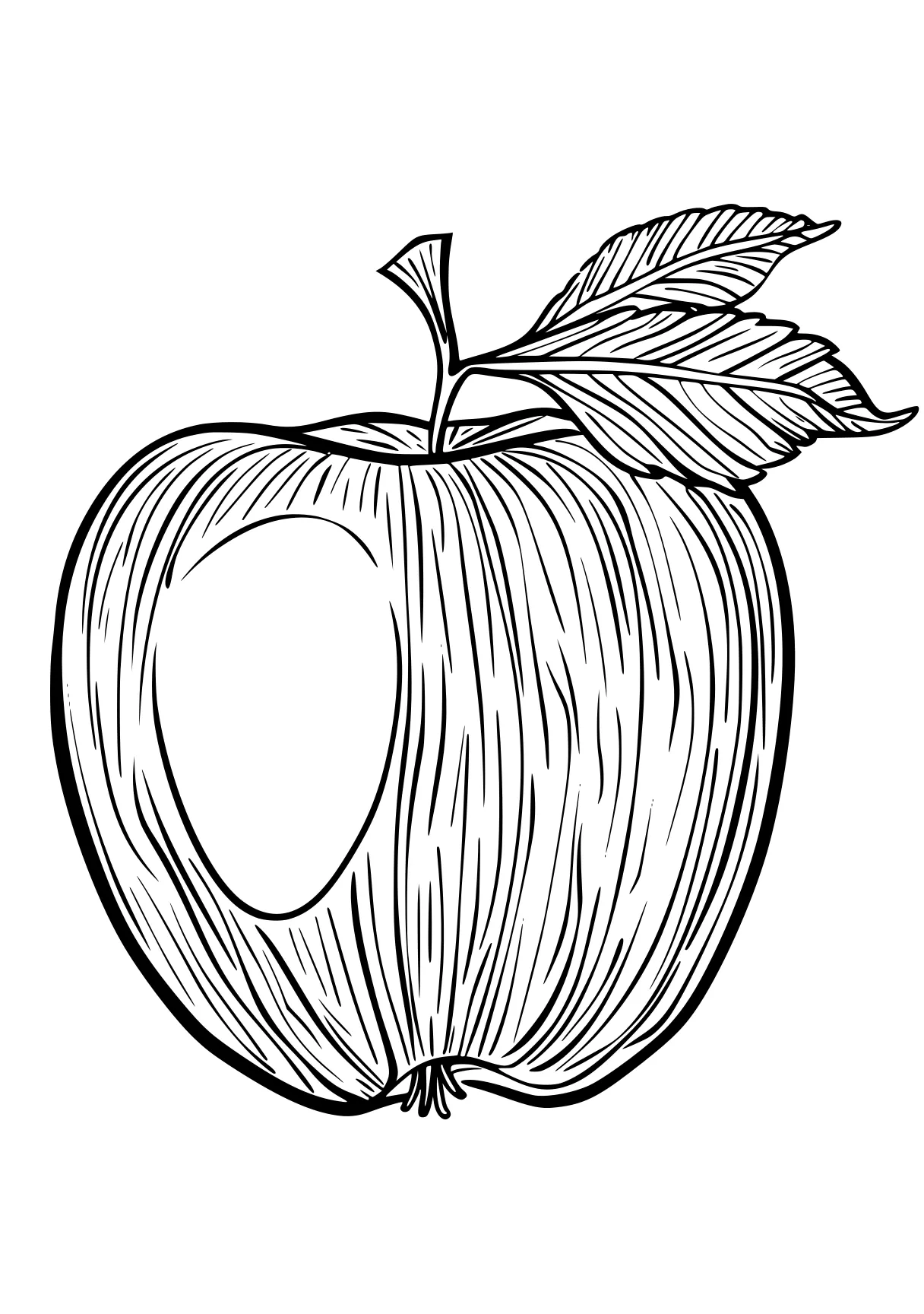 apple coloring page apple, vegetable, a4, illustrator, fruit, free downloads