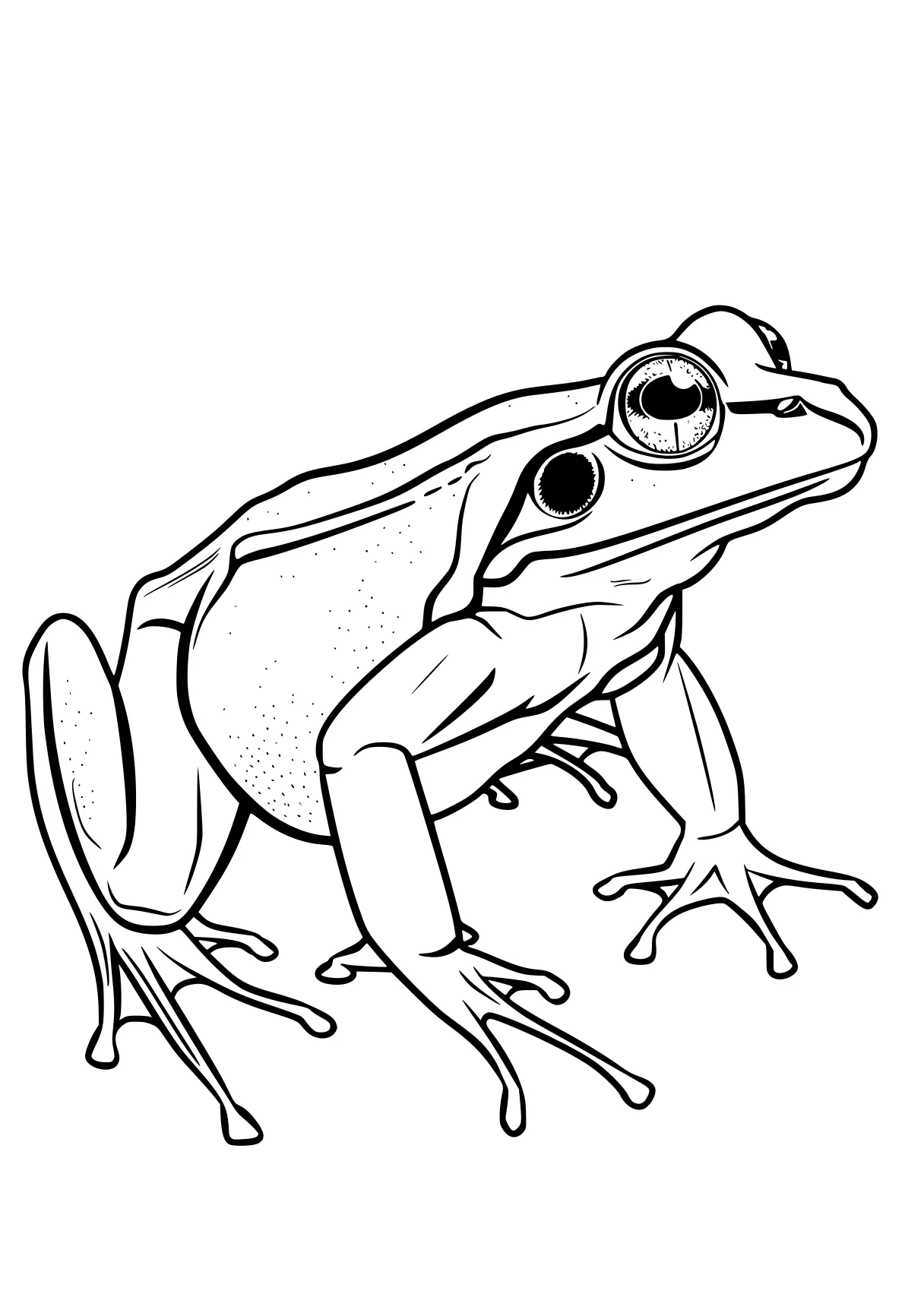 frog coloring pages frog, madagascar, toad, tayo, patrol, free page downloads