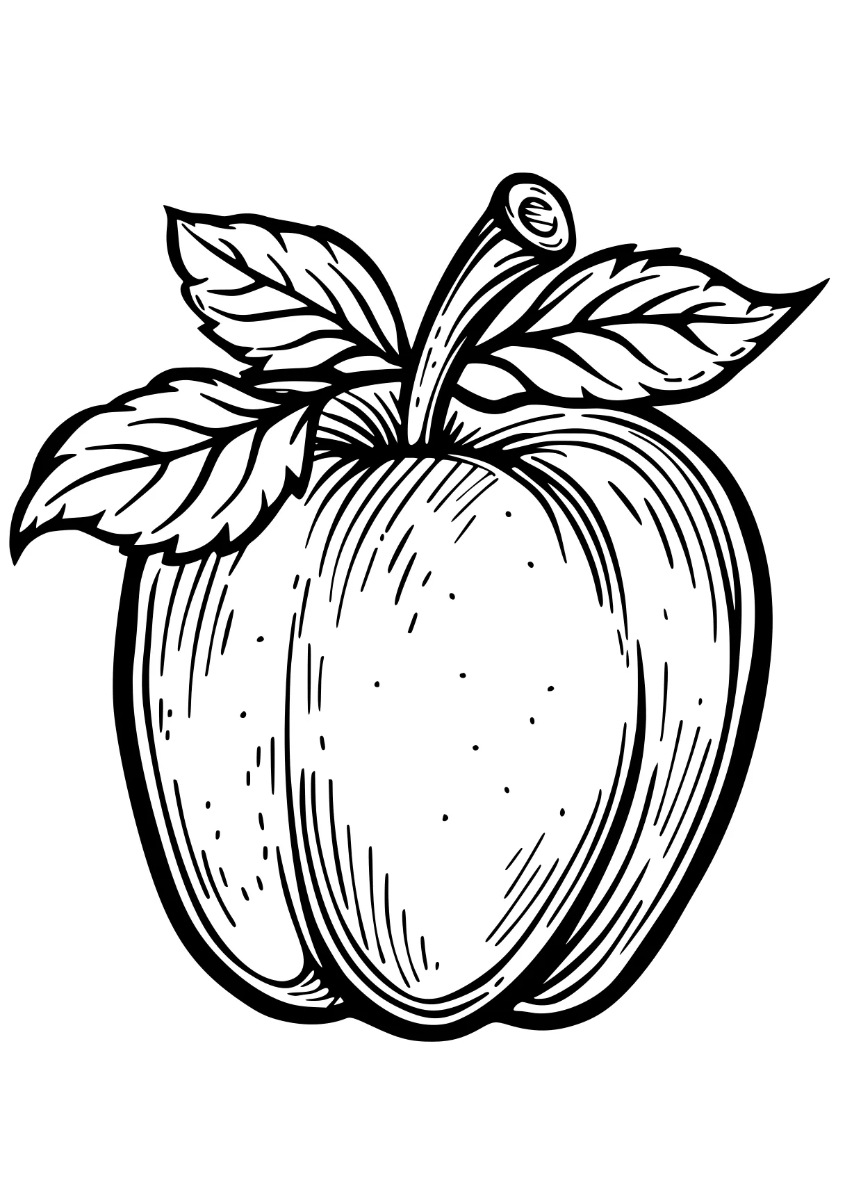 apple coloring sheet apple, vegetable, acorn, fruit, illustrator, free page downloads