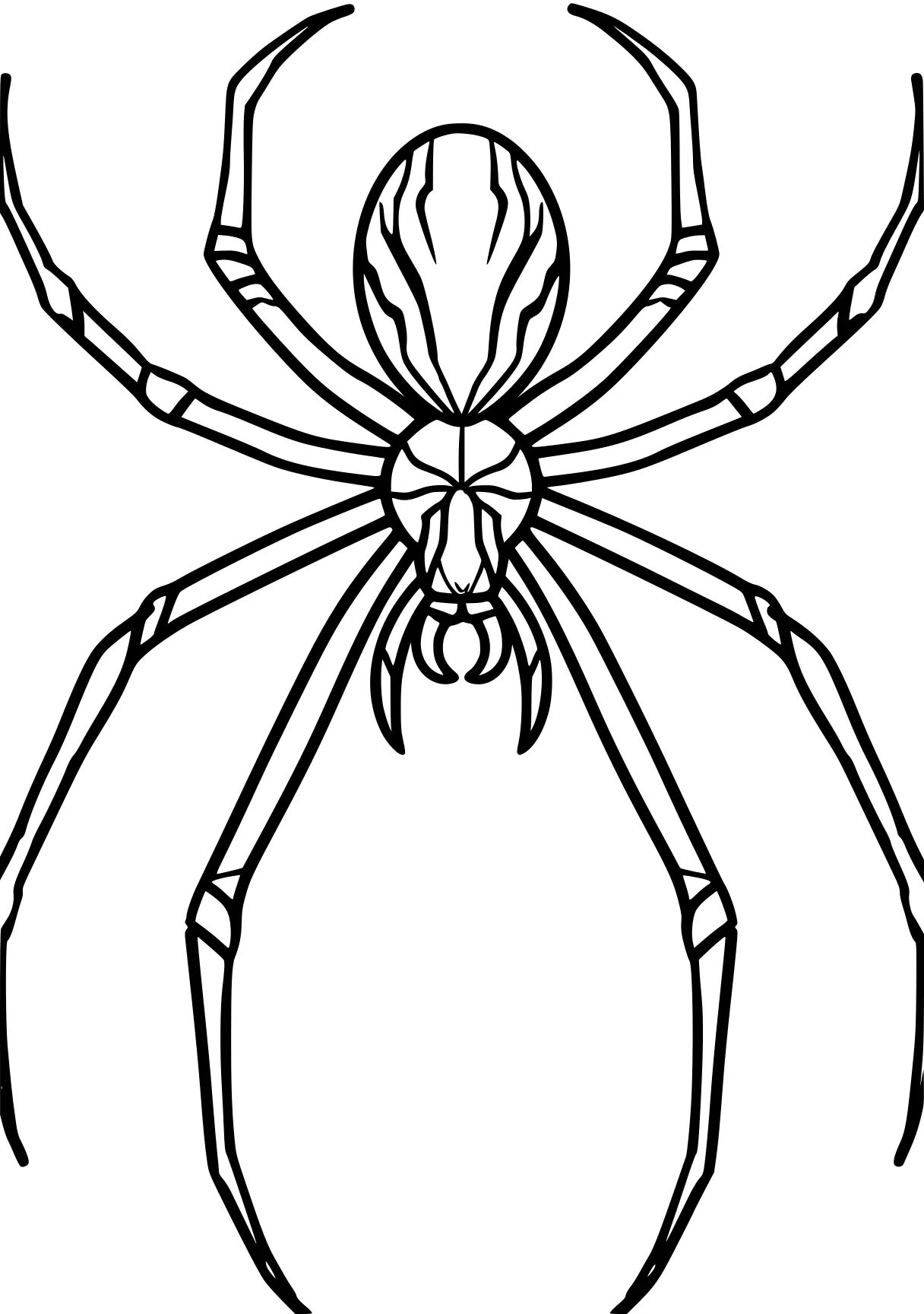 spider coloring page spider, insect, bee, size, insects, free downloads