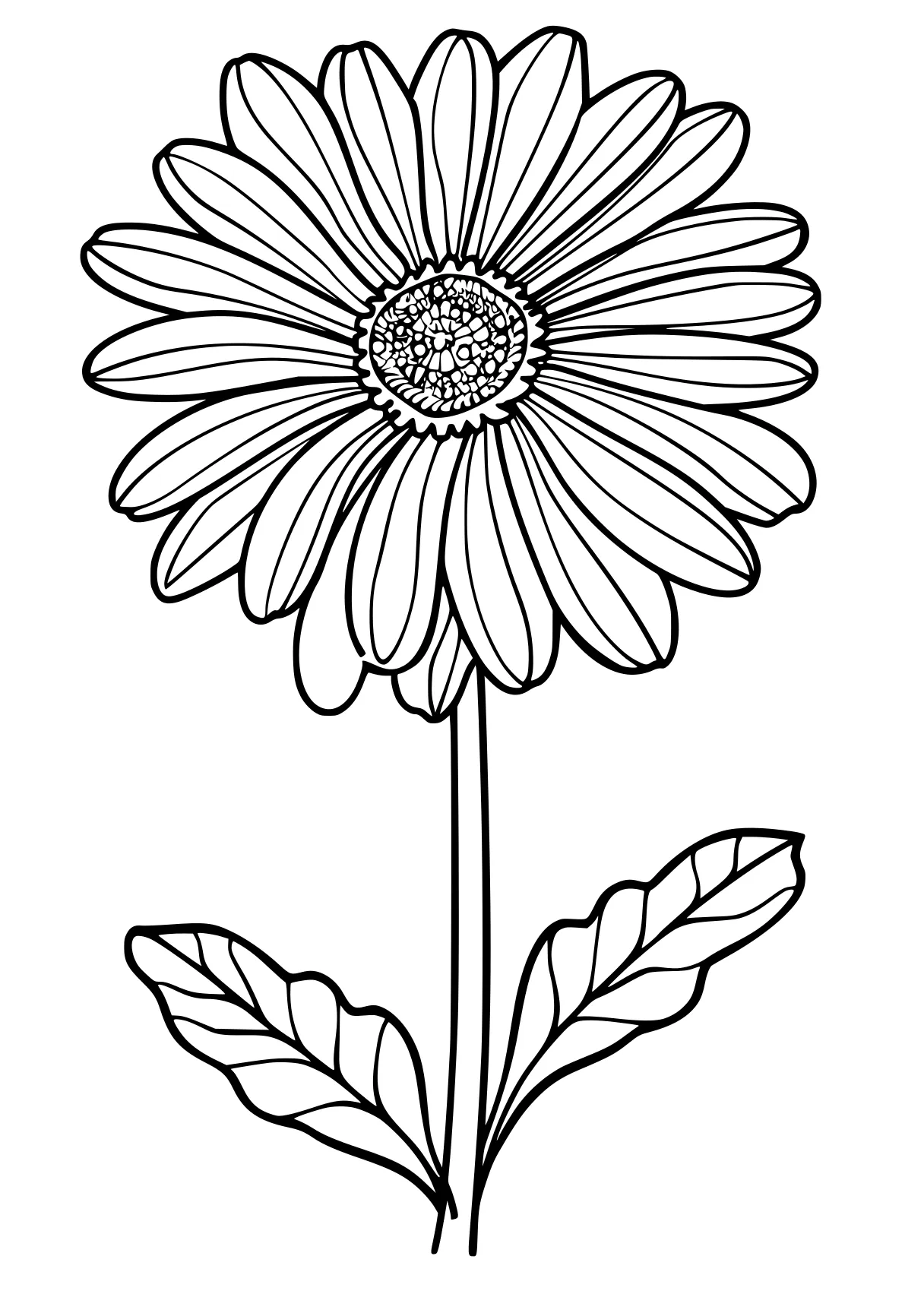 a flower coloring pages, flower, daisy, flowers, free page downloads