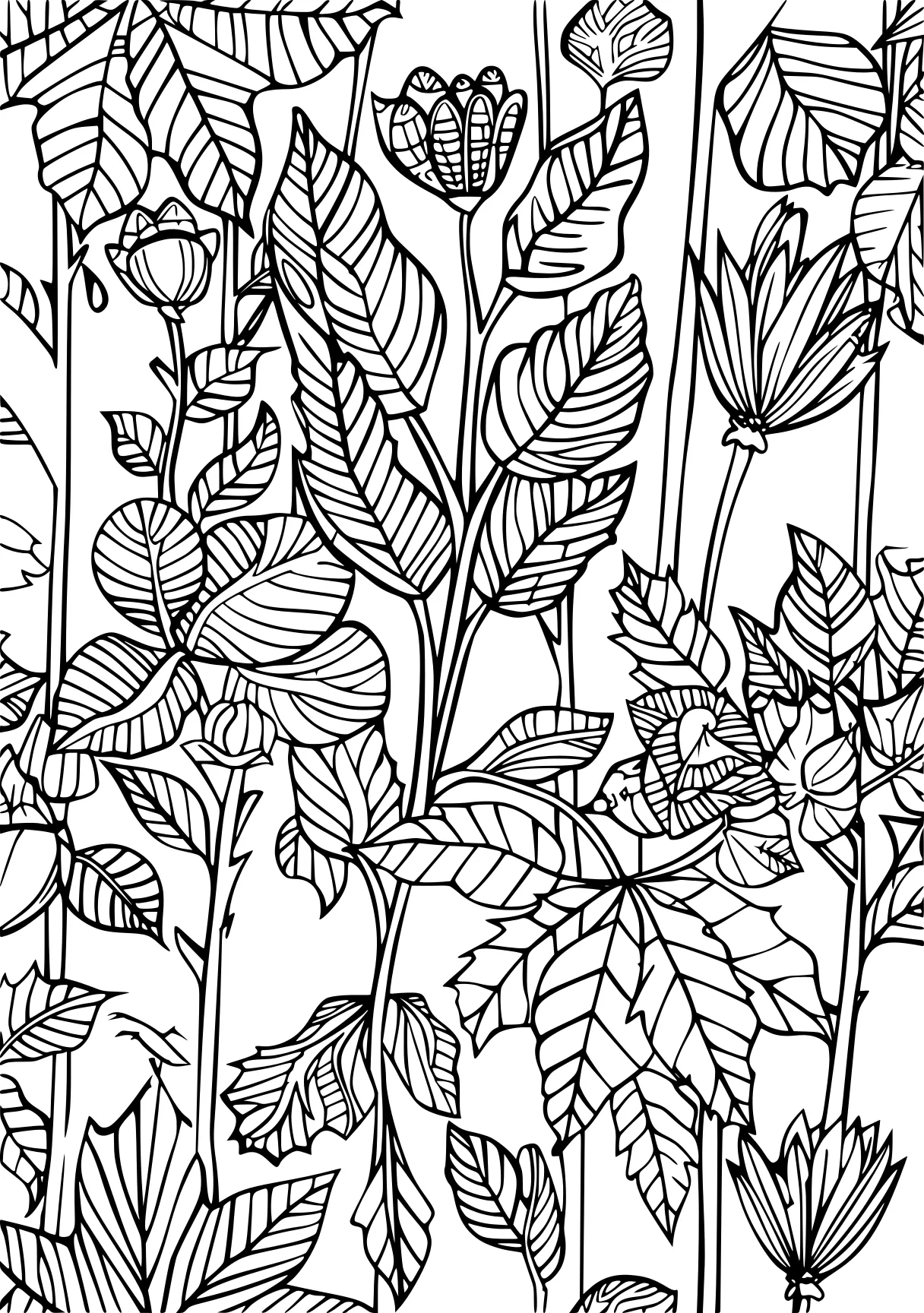 coloring pages for autumn, plants, pattern, colouring, free page downloads