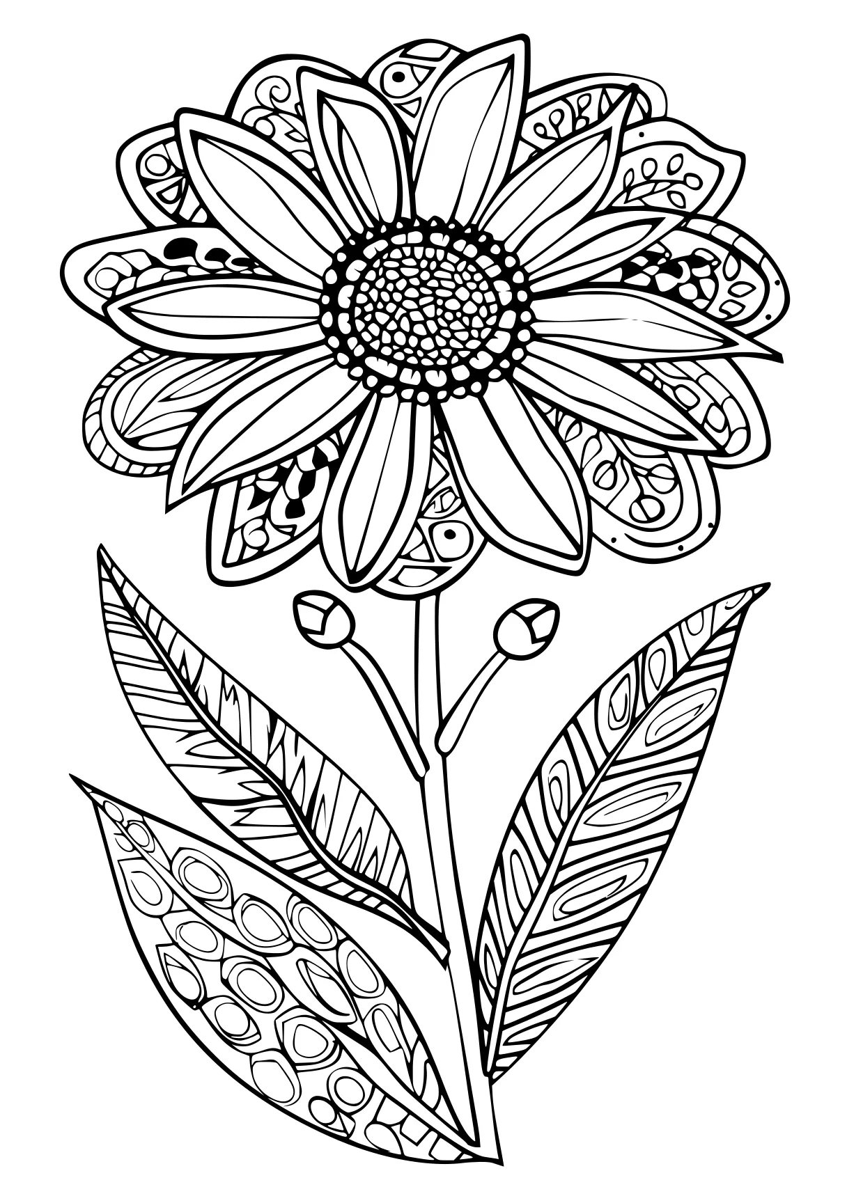 flower coloring pages for adults, flower, sunflower, zentangle, free page downloads