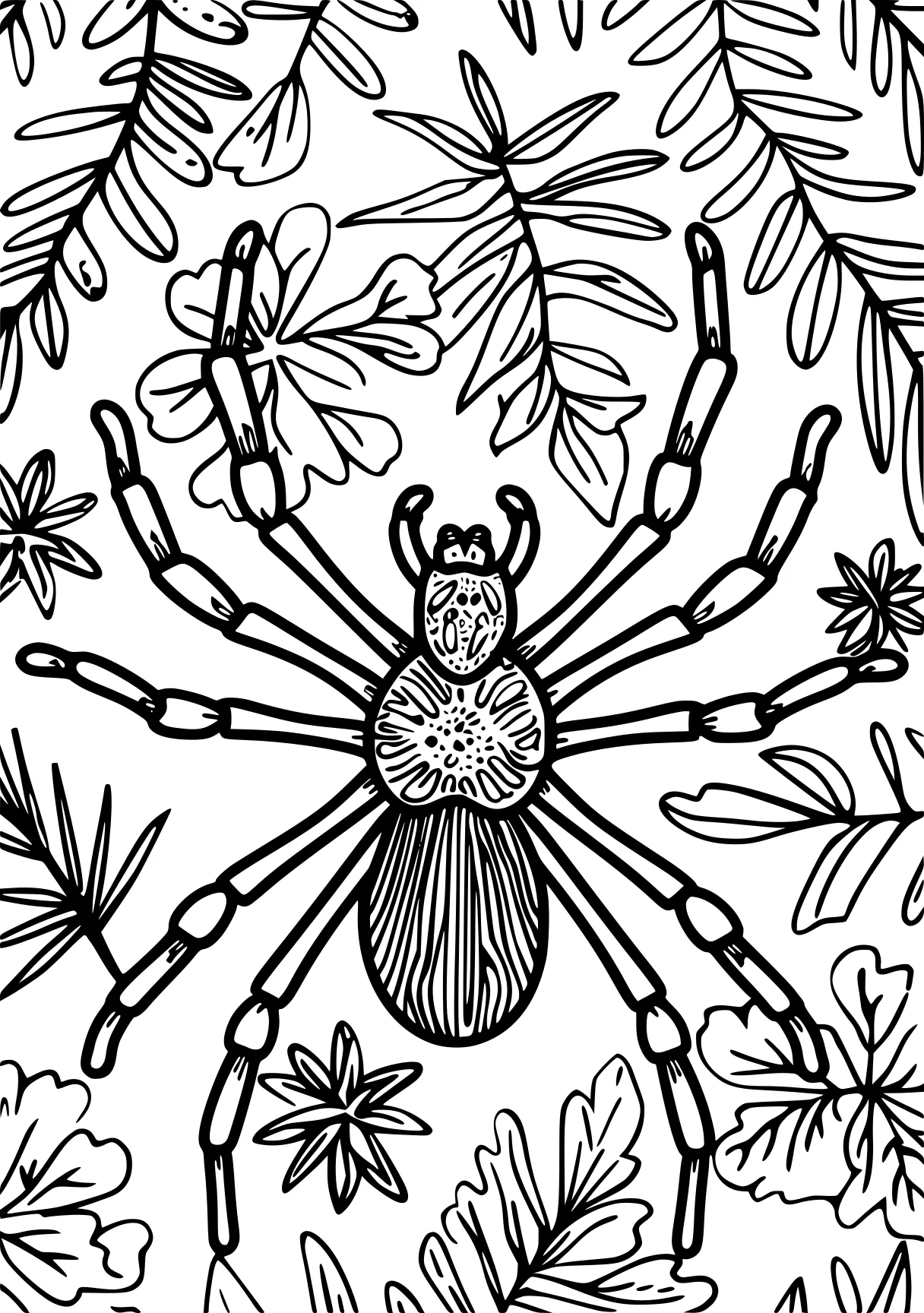 coloring pages insects spider, insects, insect, zentangle, free page downloads