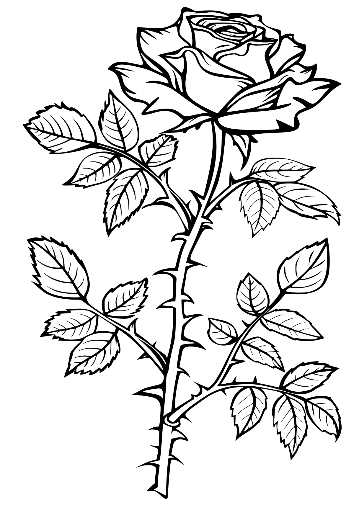 rose coloring pages plant, ornament, plants, free page downloads