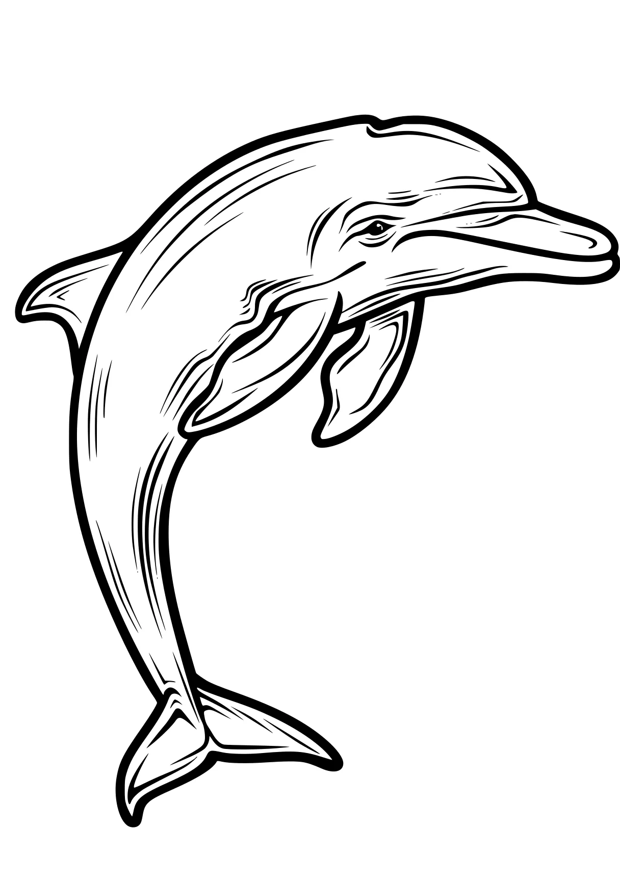 dolphin coloring pages dolphin, whale, whales, orca, narwhal, free page downloads