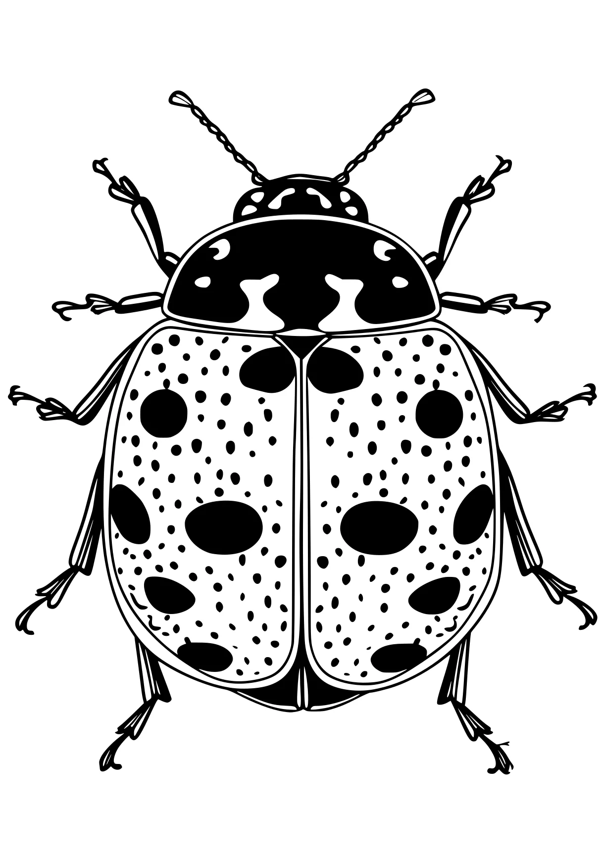 miraculous ladybug coloring page ladybug, insects, insect, bugs, dot, free downloads