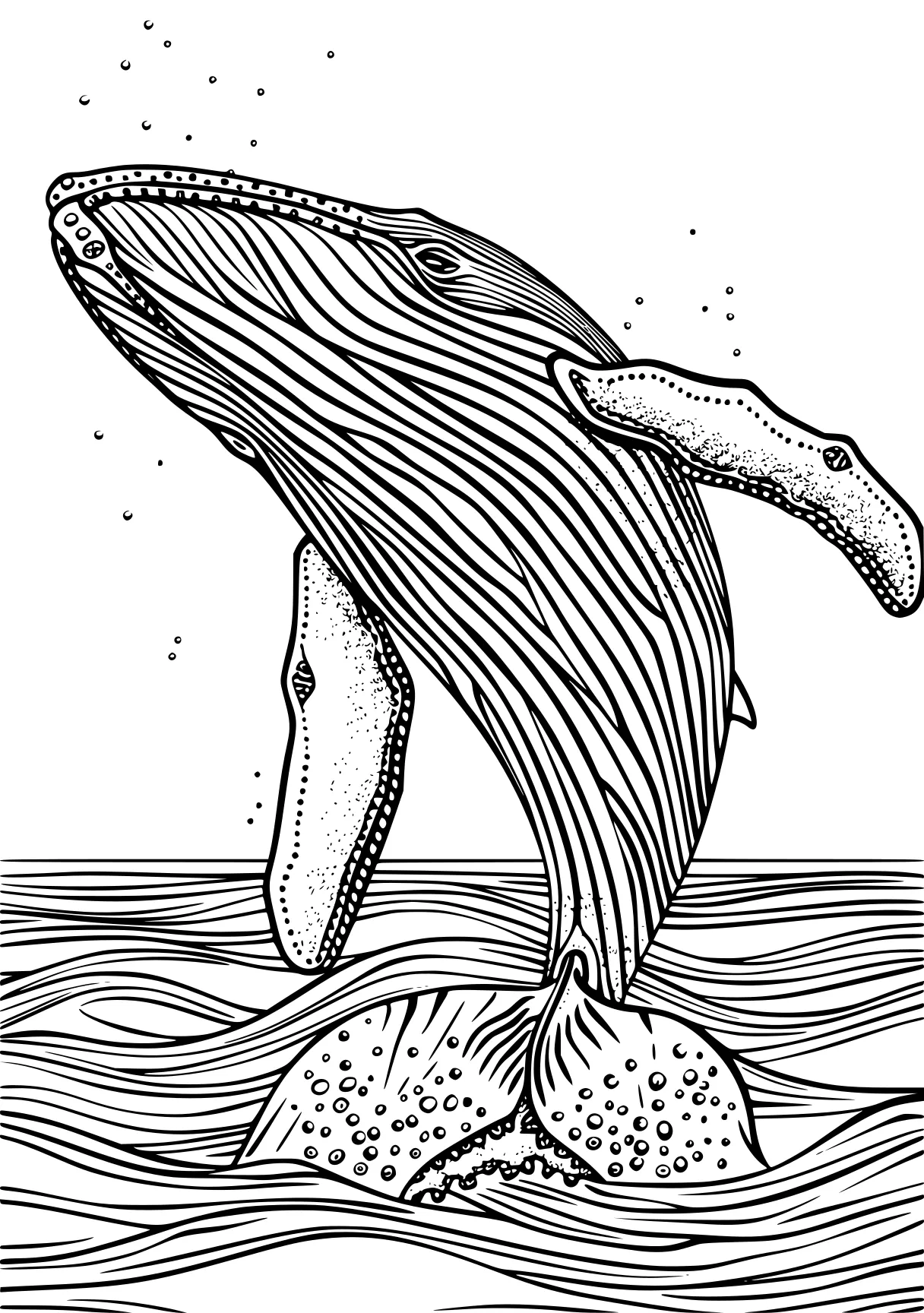 whale coloring pages dolphin, whale, whales, narwhal, orca, free page downloads