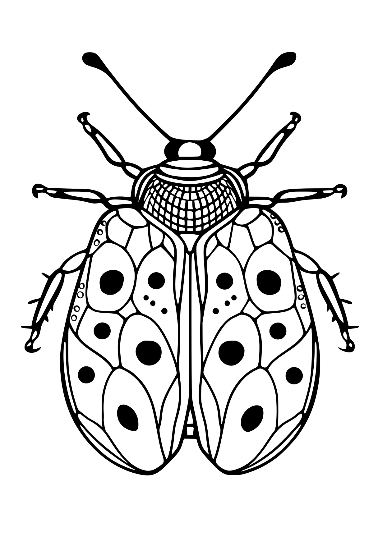 coloring pages insects insect, insects, adult, bee, ladybug, free page downloads