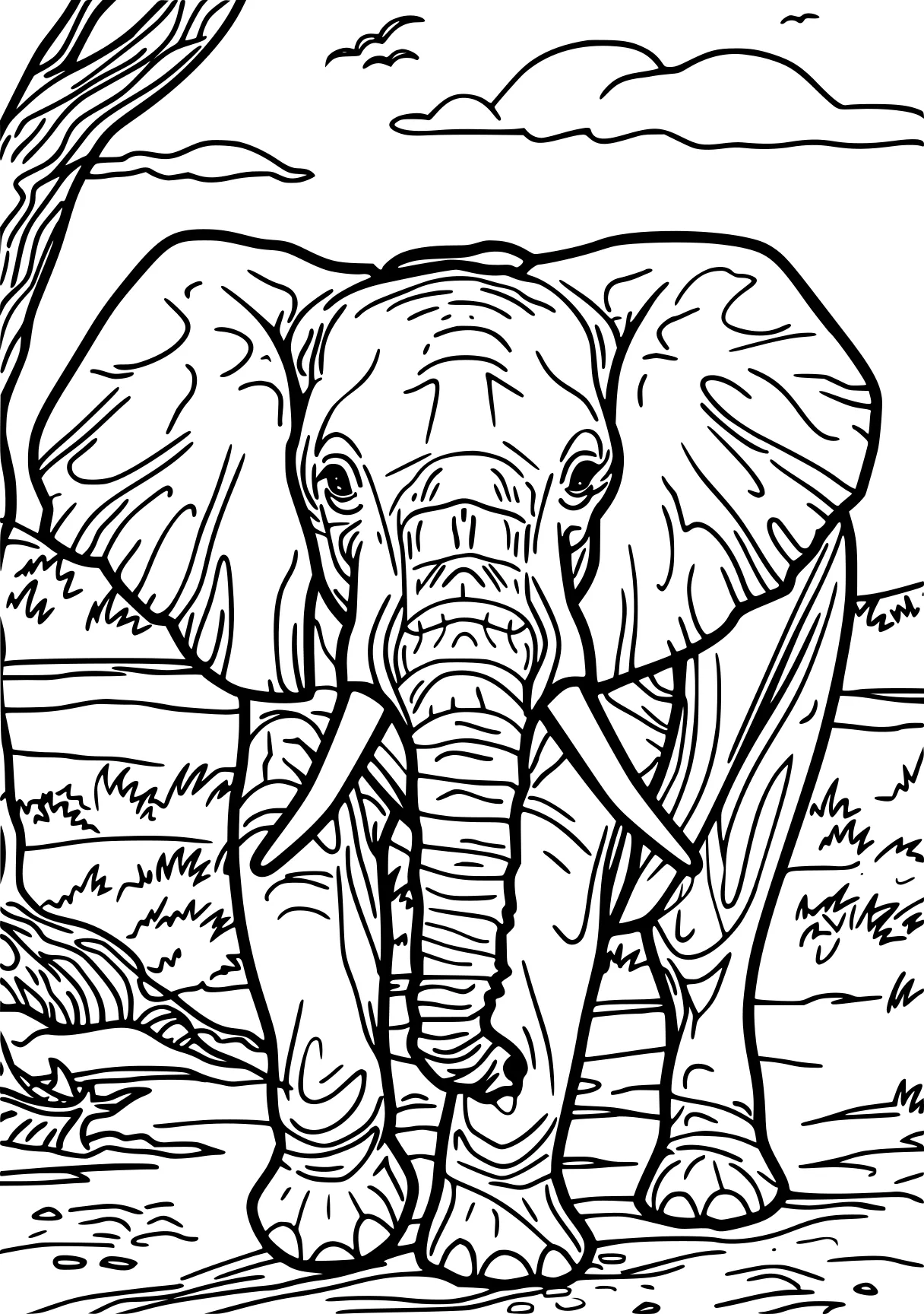 elephant coloring pages elephant, illustrator, dumbo, free page downloads