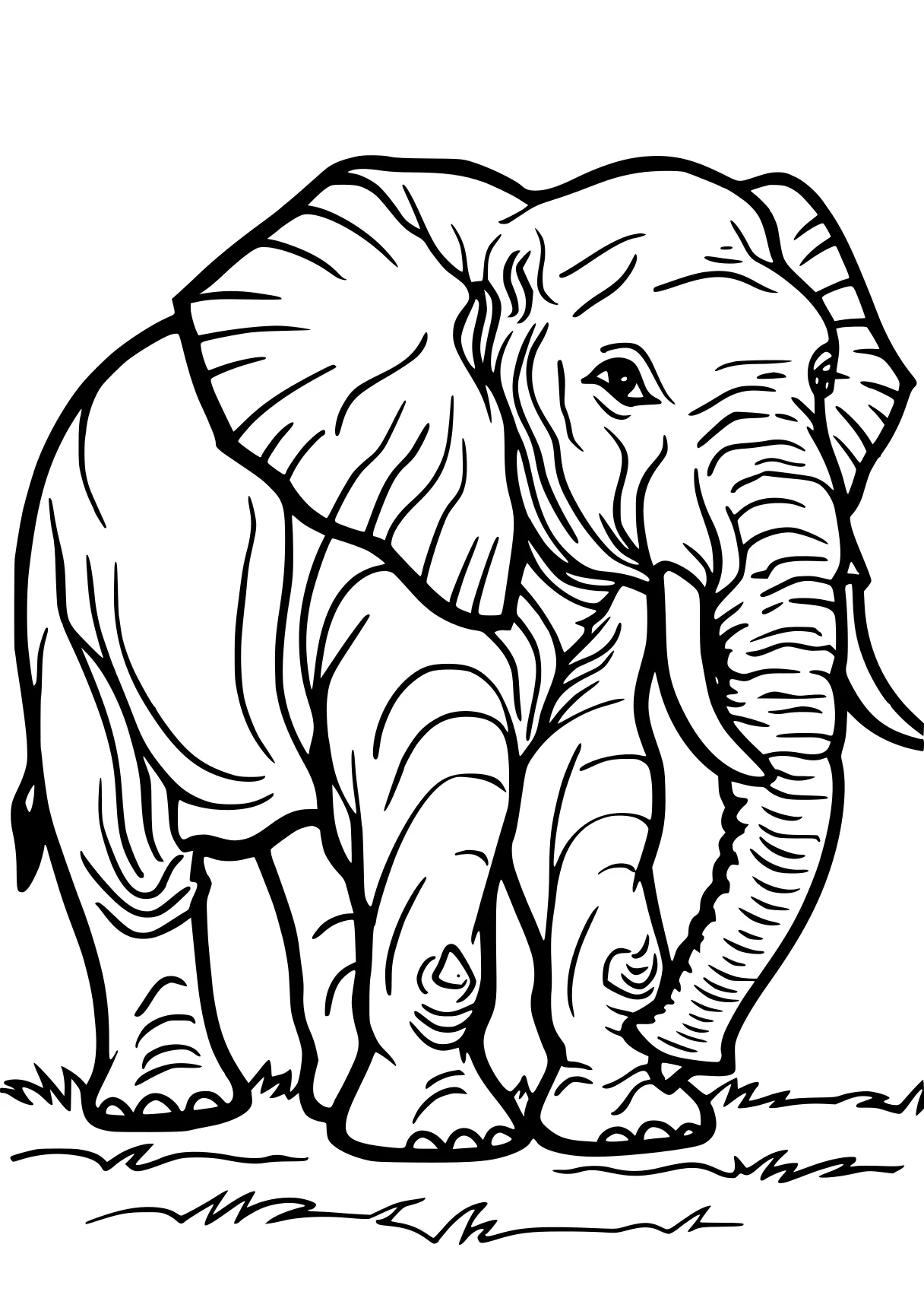 elephant coloring sheet elephant, dumbo, illustrator, size, free page downloads