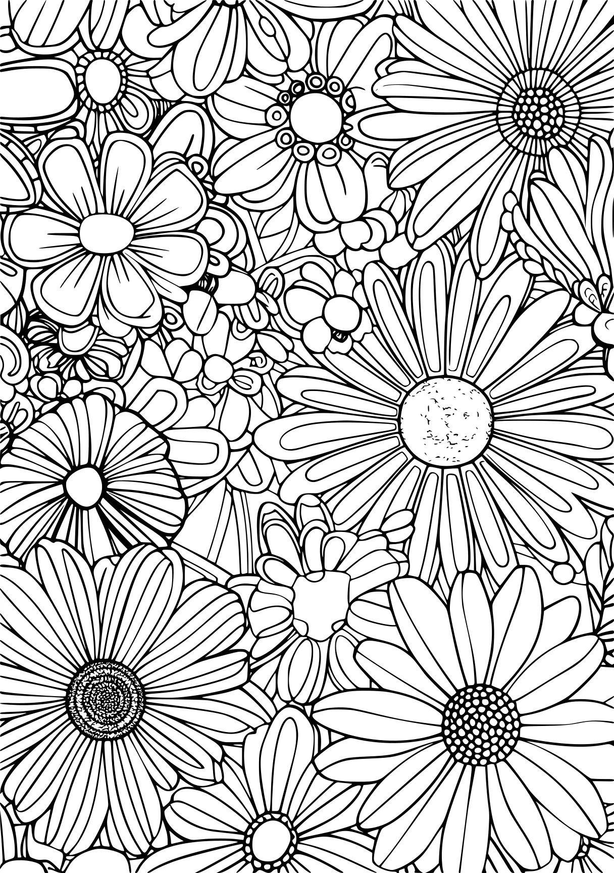 floral coloring pages, zentangle, pattern, colouring, free page downloads