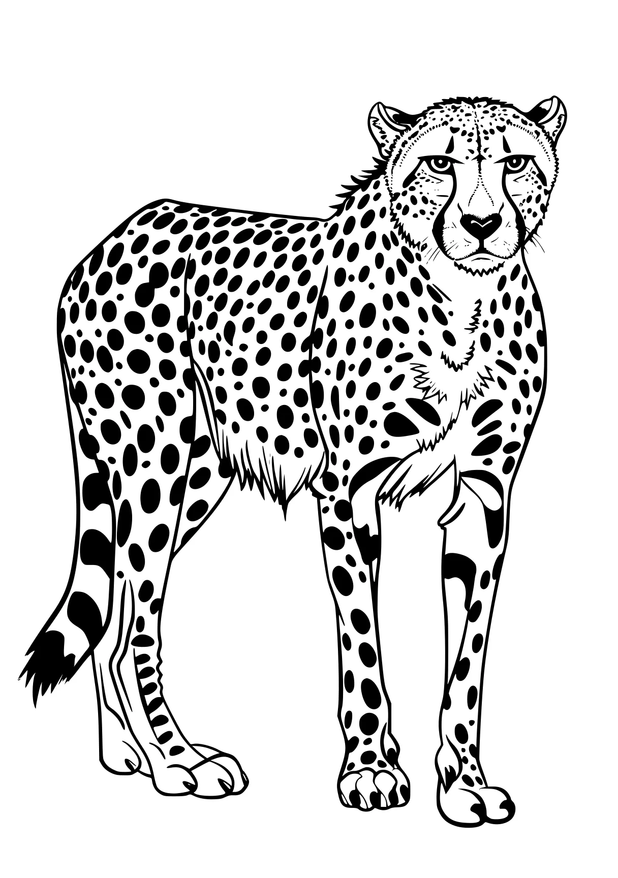 cheetah coloring page cheetah, leopard, jaguar, panther, lion, free downloads