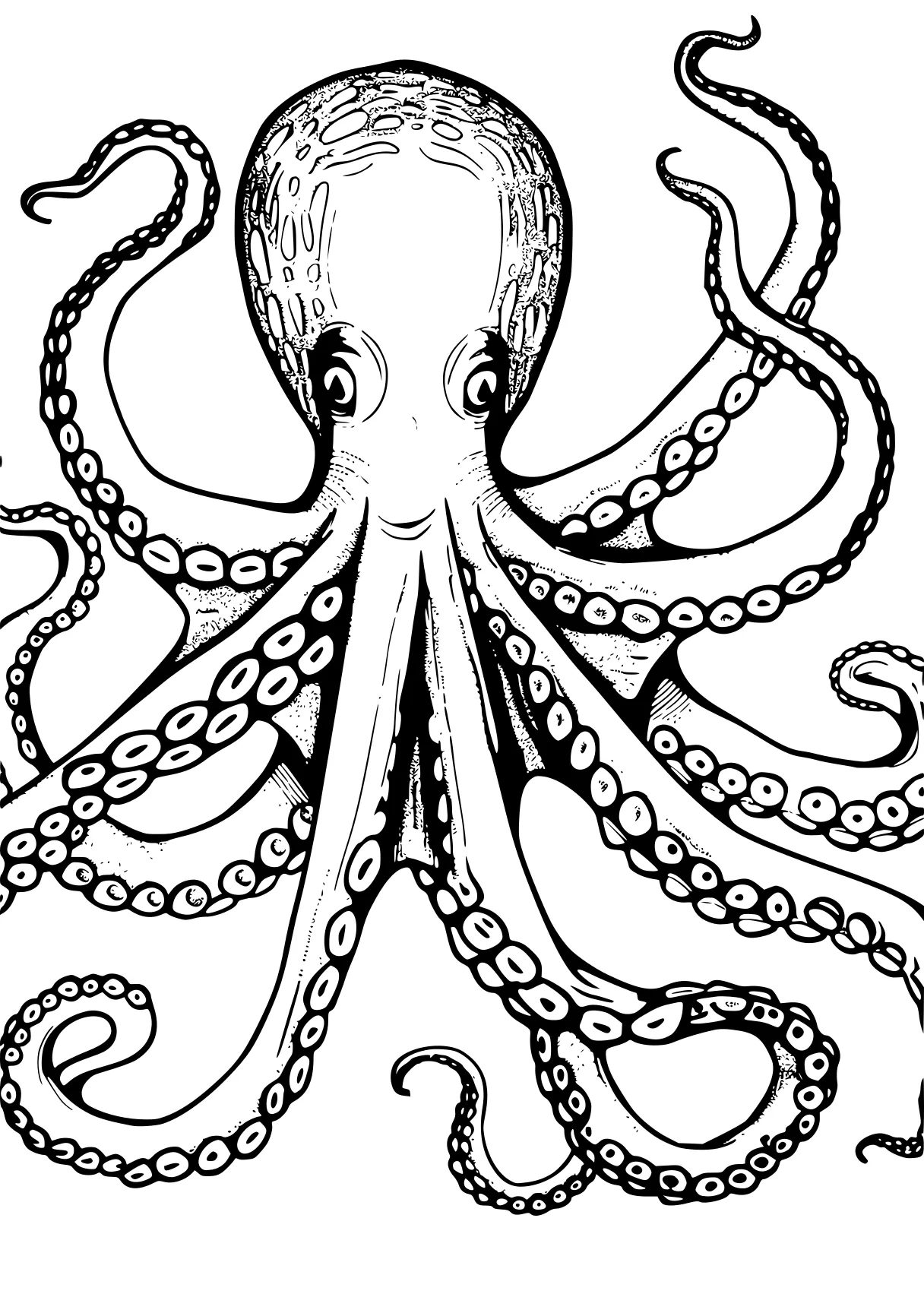 octopus coloring page octopus, kaido, illustrator, free downloads