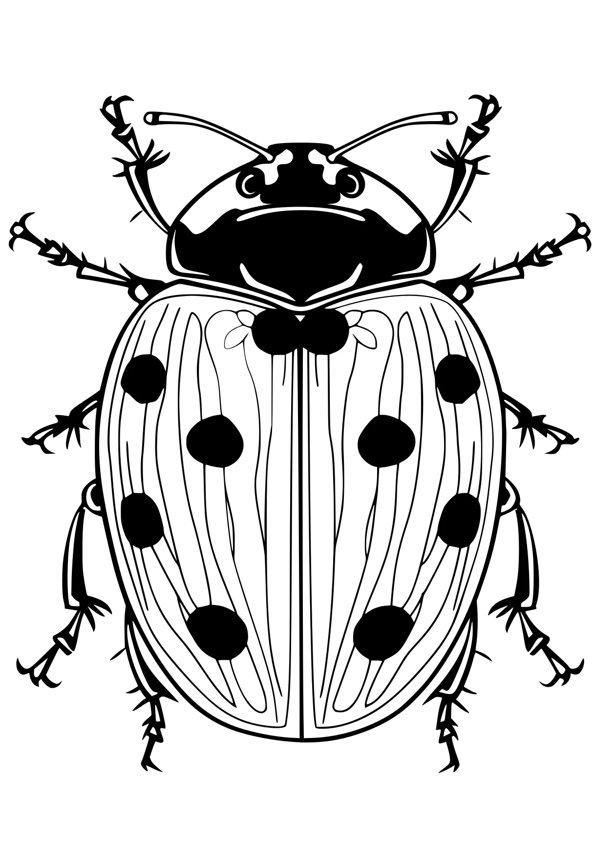 ladybug coloring sheets insects, insect, ladybug, bugs, adult, free page downloads