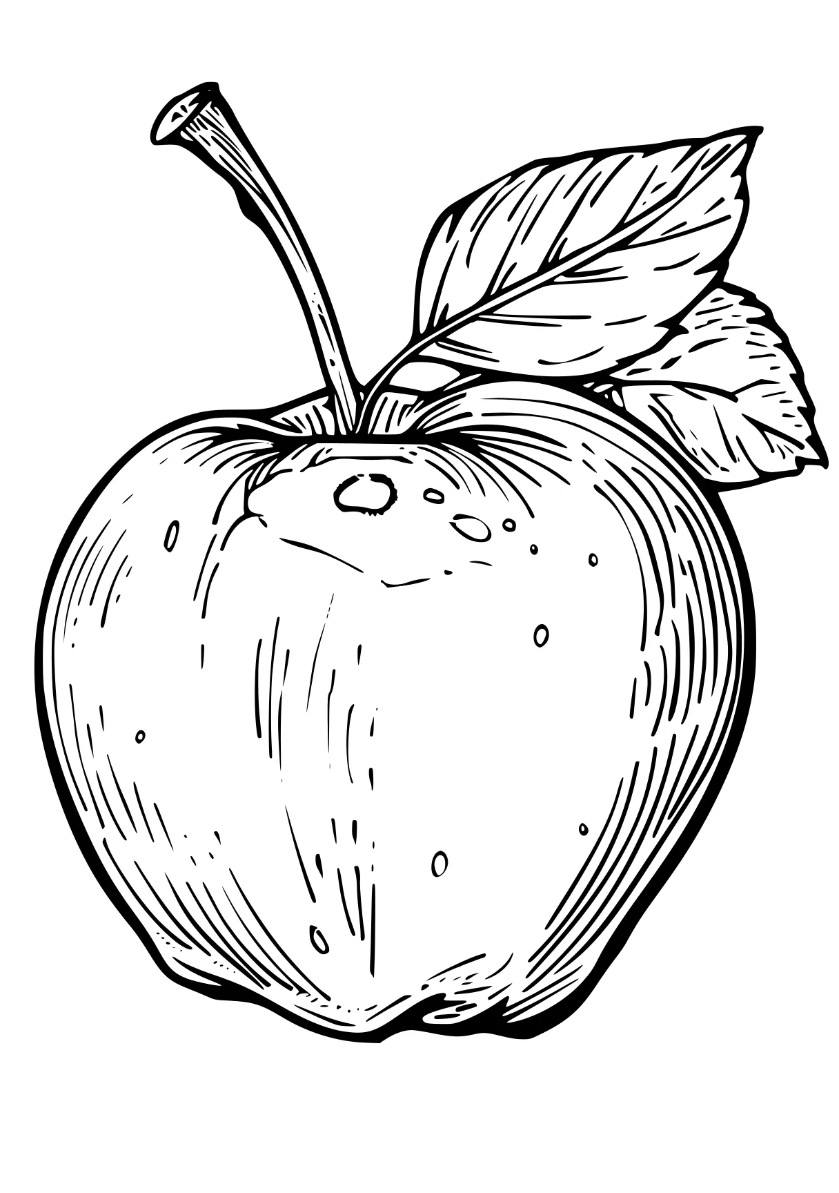 apple coloring page apple, fruit, acorn, vegetable, applejack, free downloads