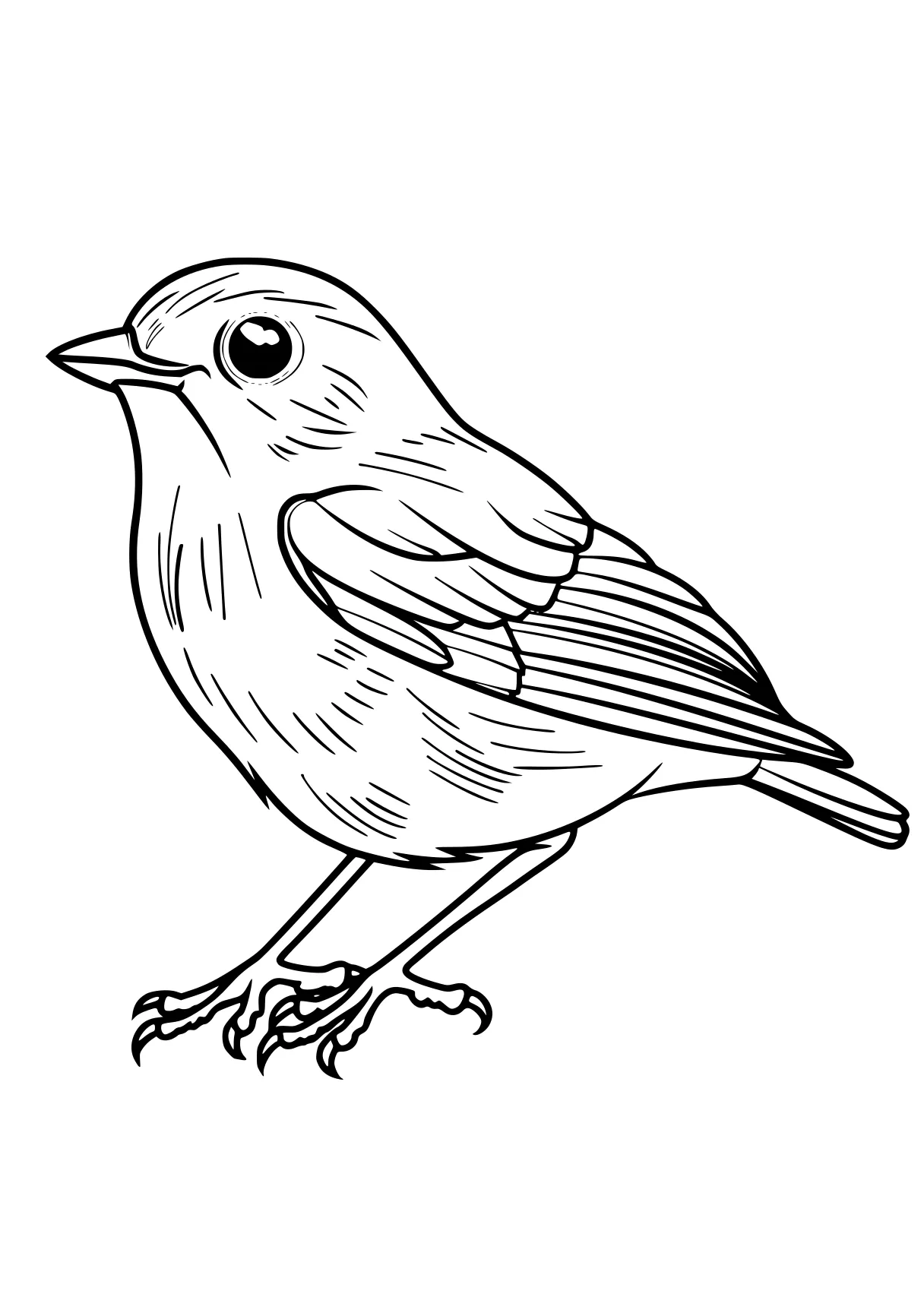 bird coloring pages bird, robin, adult, birds, cardinal, free page downloads