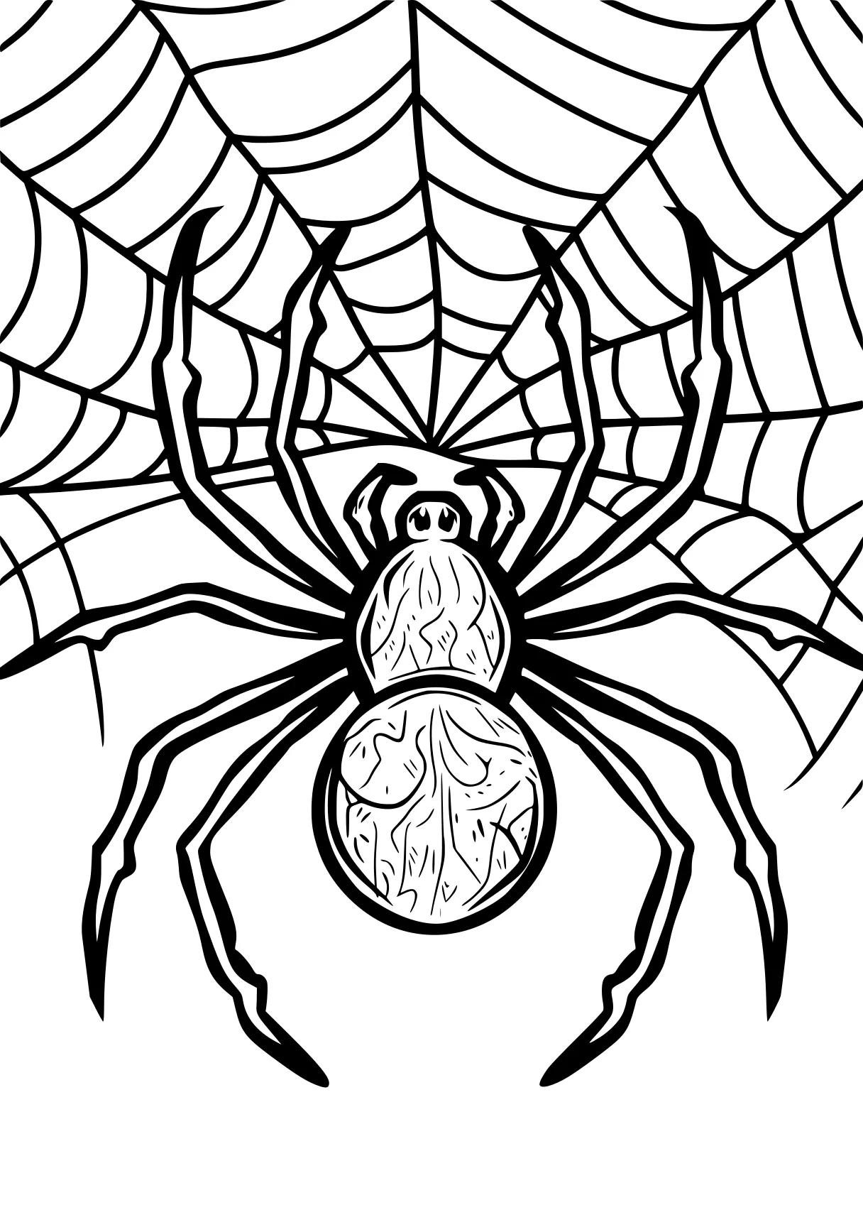 spider coloring page spider, spidey, crawler, supercoloring, free downloads