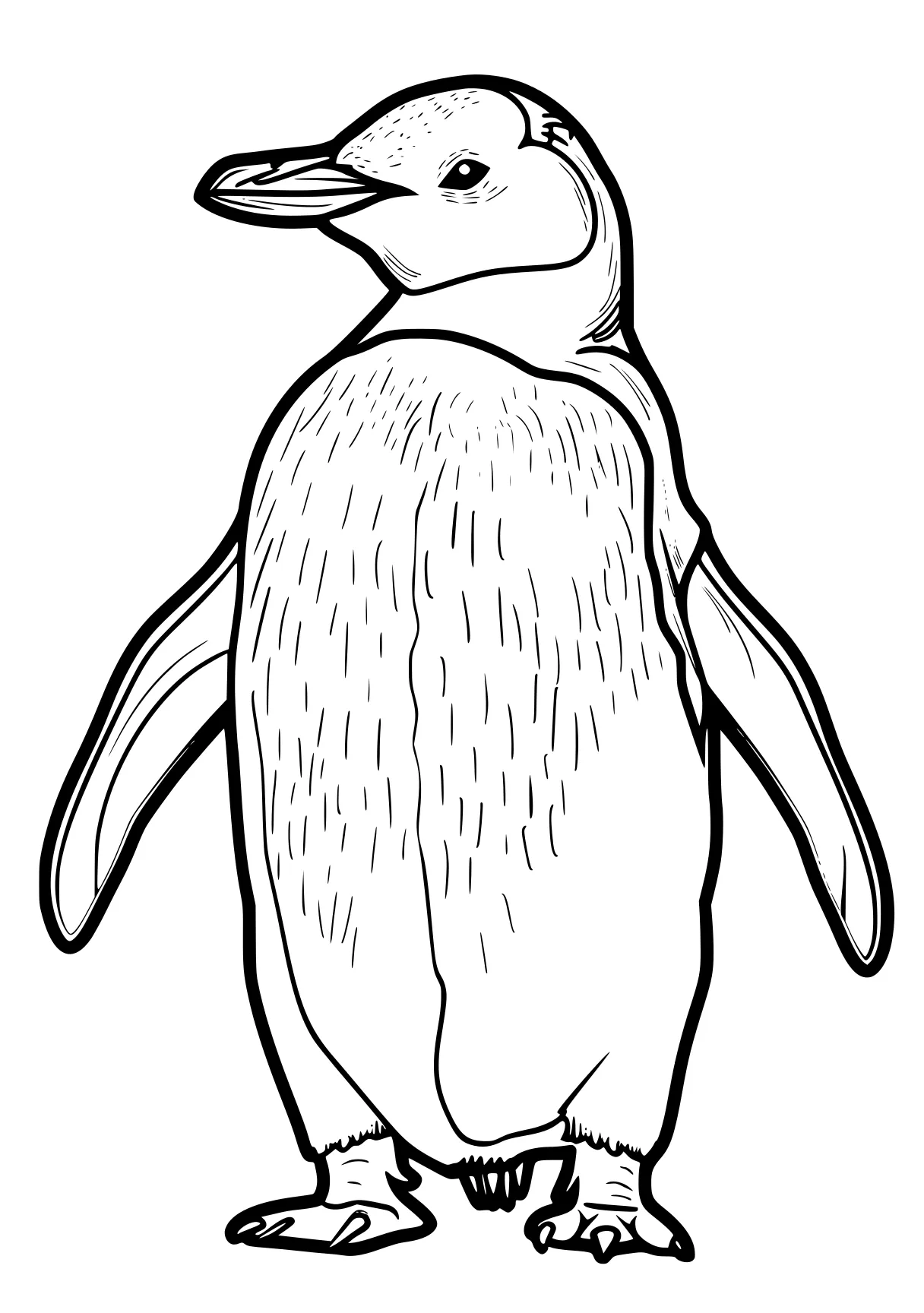 penguin coloring sheet penguin, narwhal, otter, orca, toucan, free page downloads