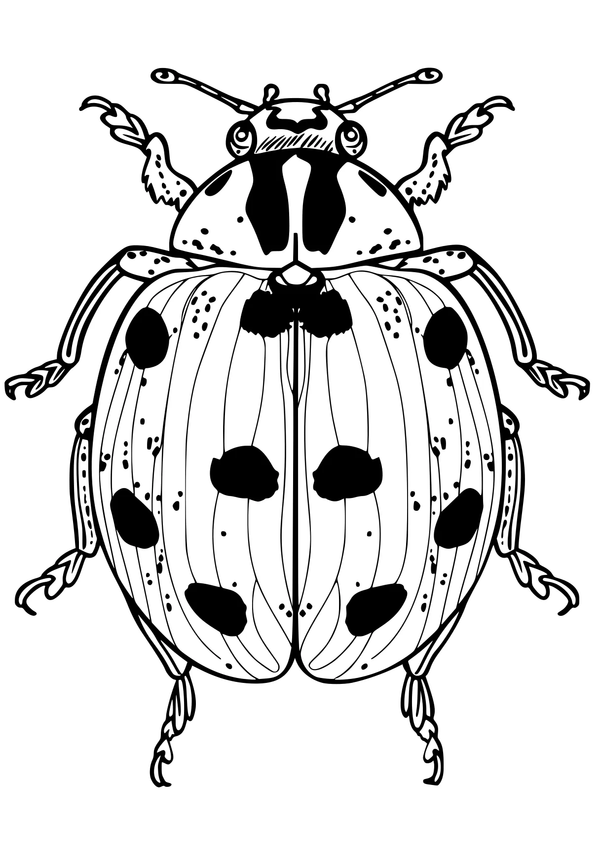 ladybug coloring page ladybug, insect, insects, adult, size, free downloads