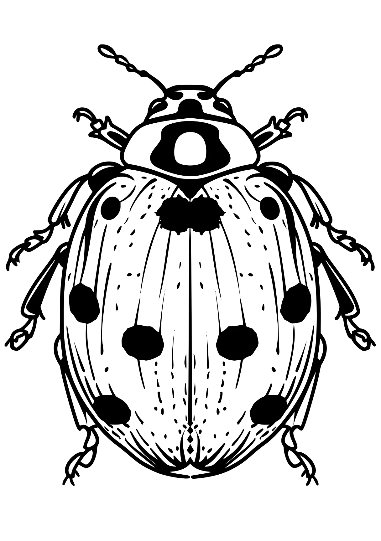 ladybug coloring sheets ladybug, insect, insects, bee, bugs, free page downloads