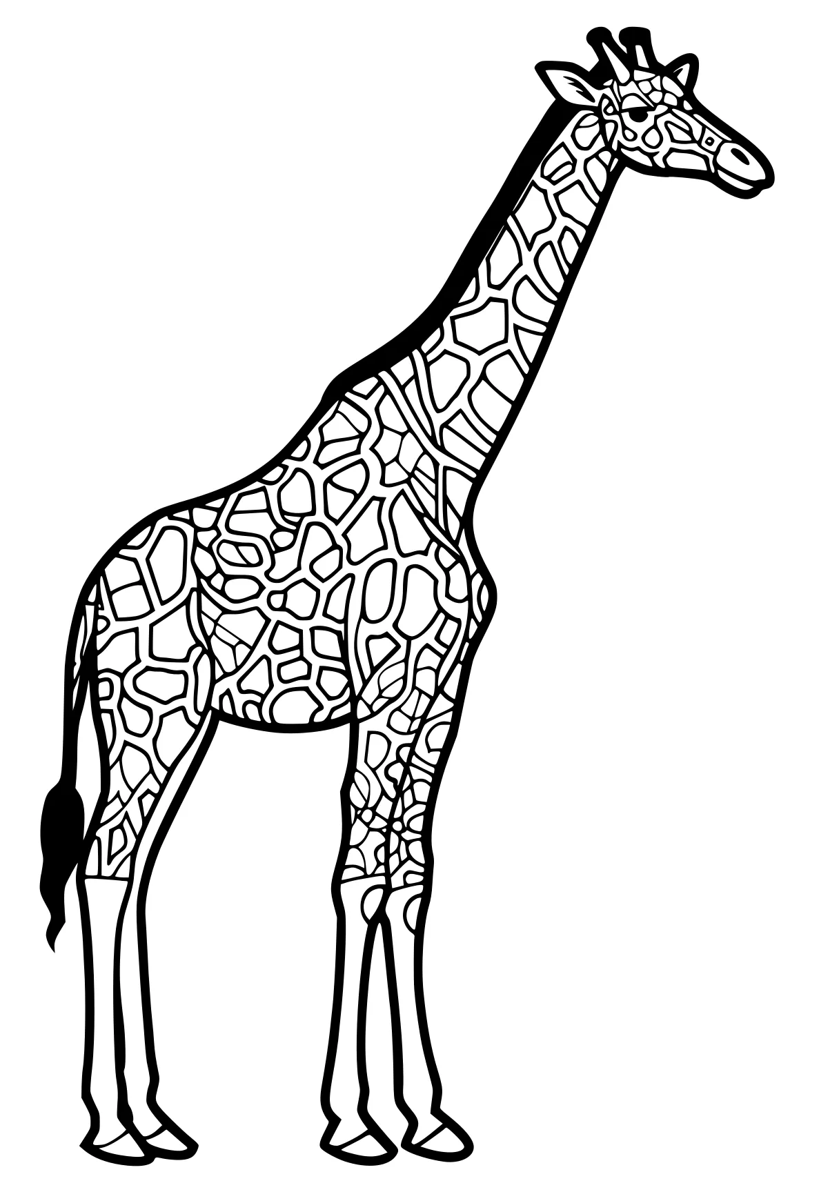 giraffe coloring pages giraffe, llama, brachiosaurus, camel, horse, free page downloads