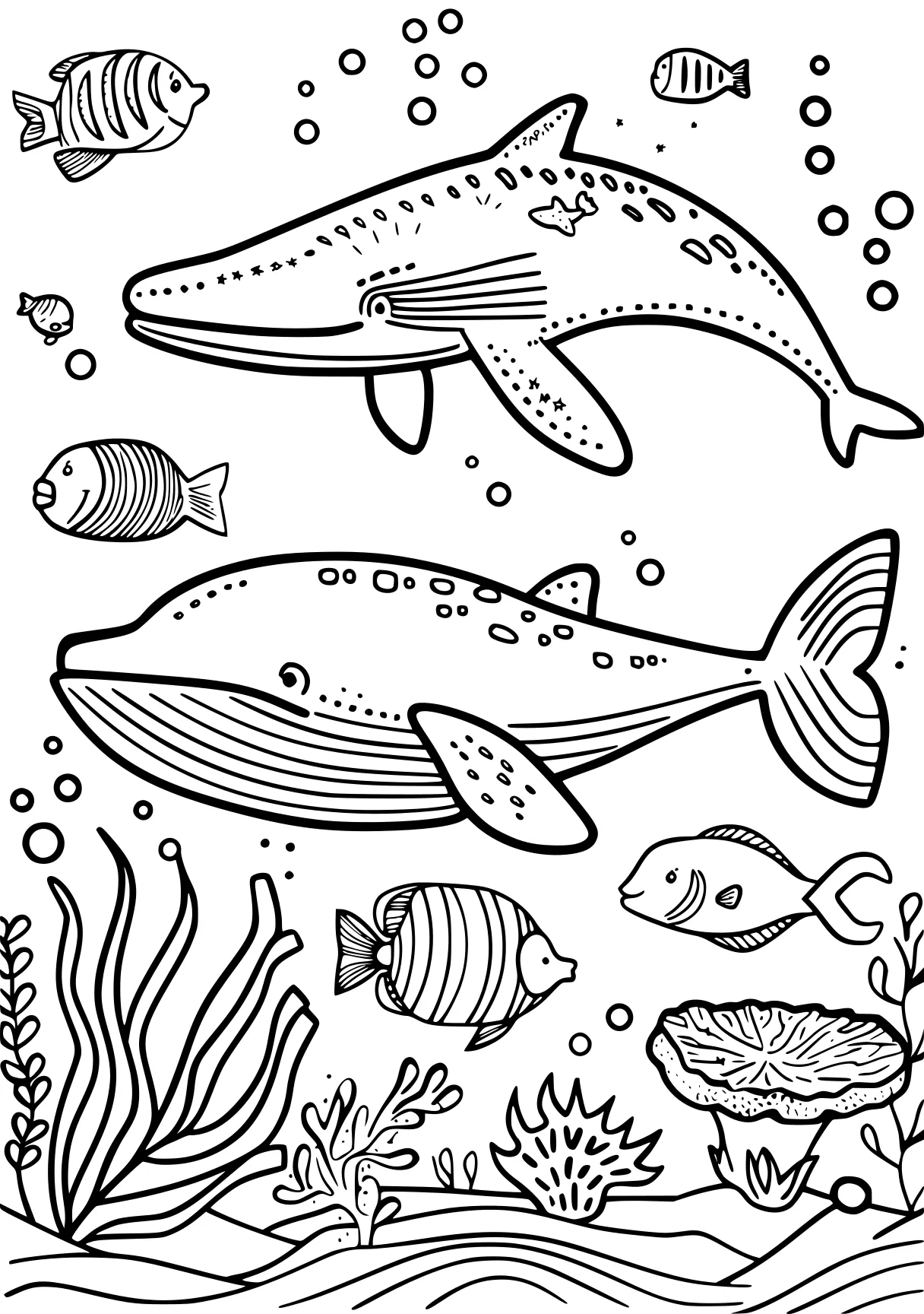 ocean animals coloring pages whales, fish, sharks, aquarium, free page downloads