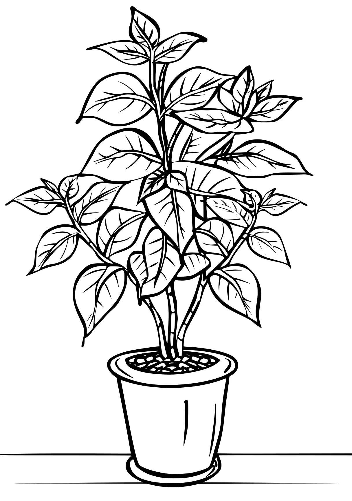 plant coloring pages plant, plants, tree, free page downloads