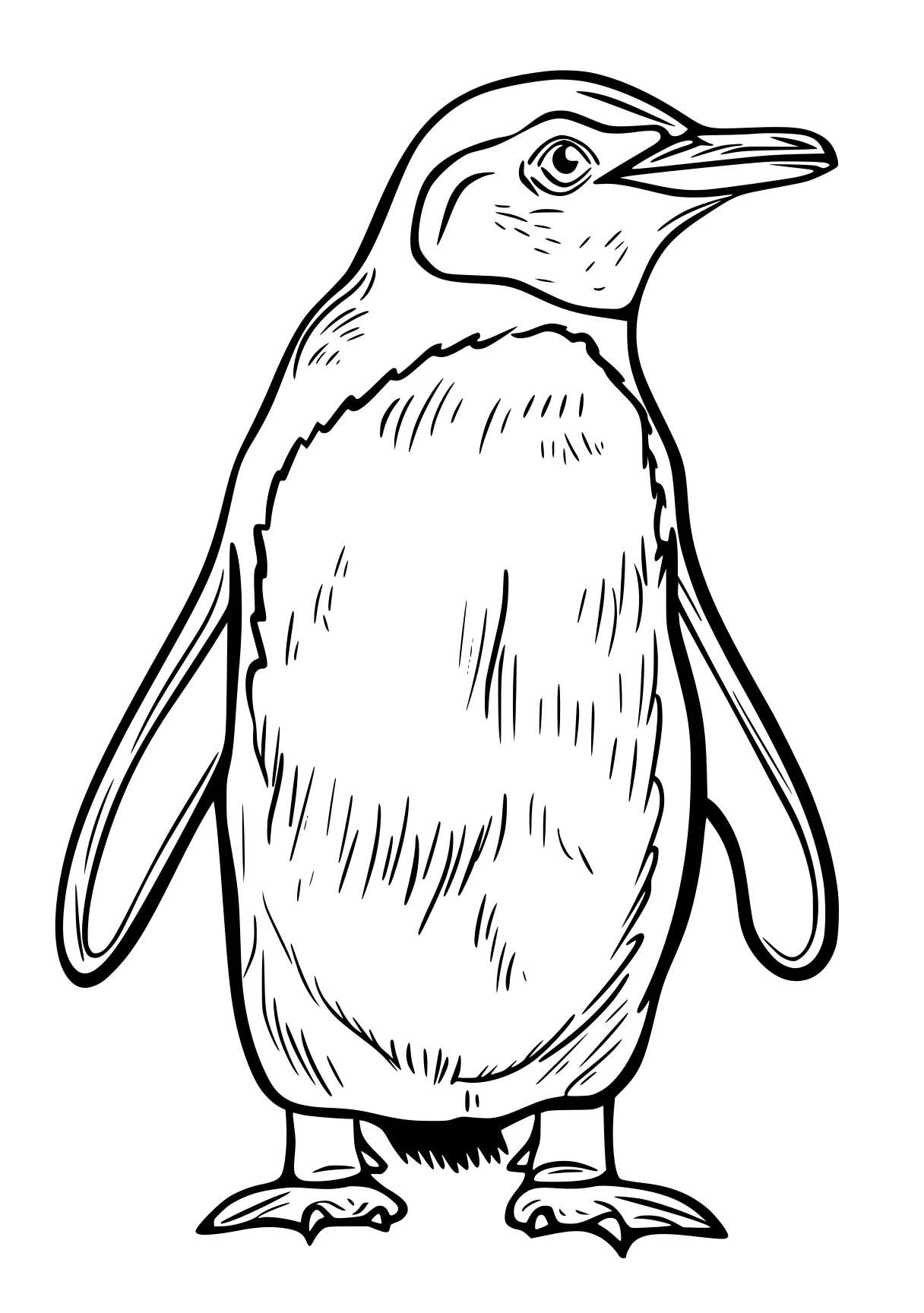 penguin coloring sheet penguin, narwhal, owl, leg, mitten, free page downloads