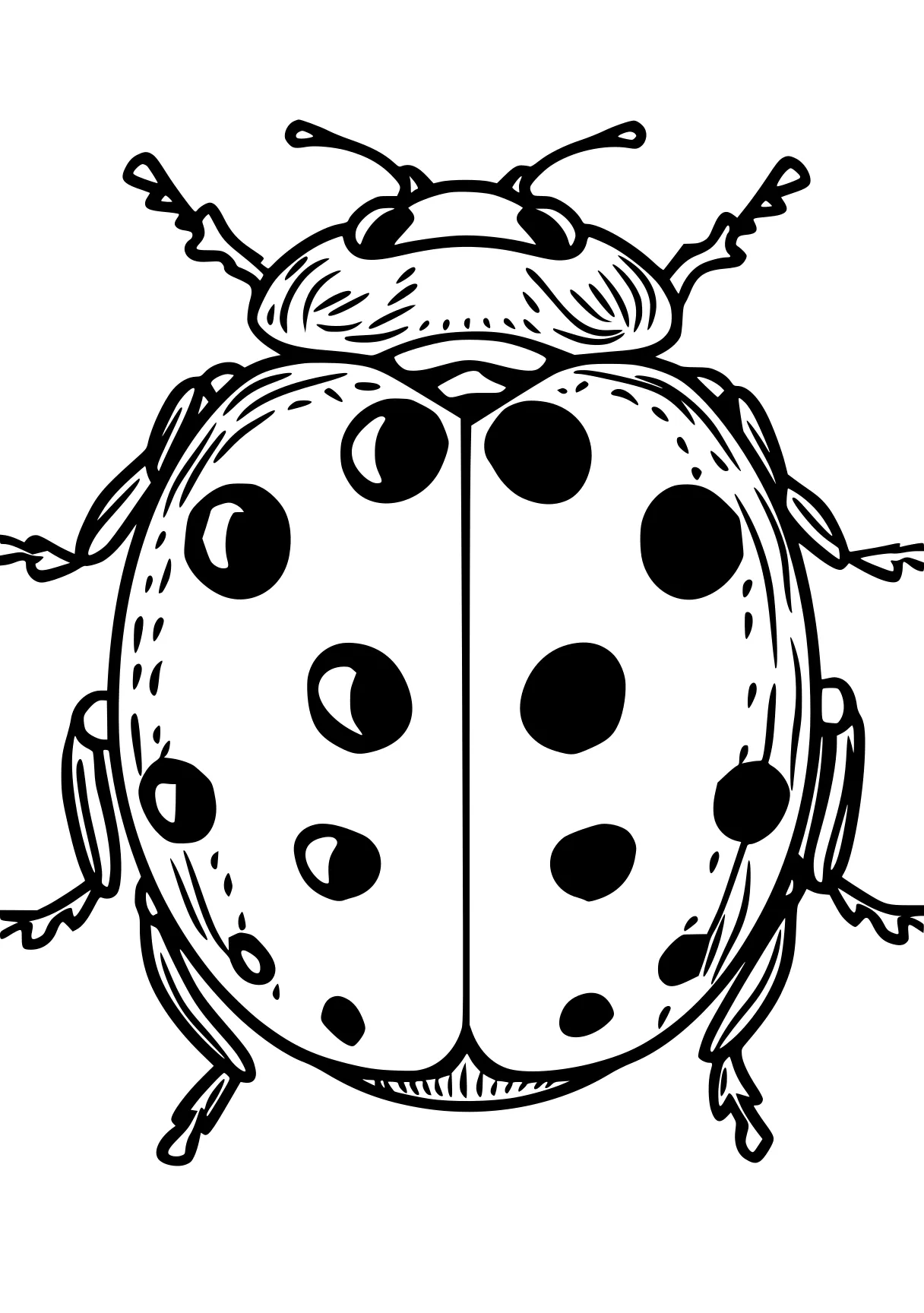 miraculous ladybug coloring page ladybug, insects, insect, dot, bee, free downloads