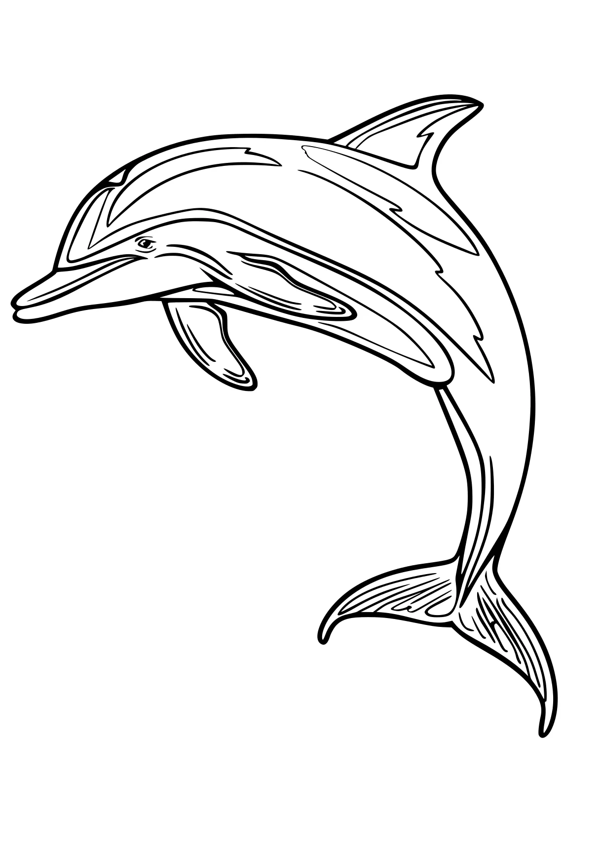 dolphin coloring pages dolphin, whale, shark, orca, fish, free page downloads