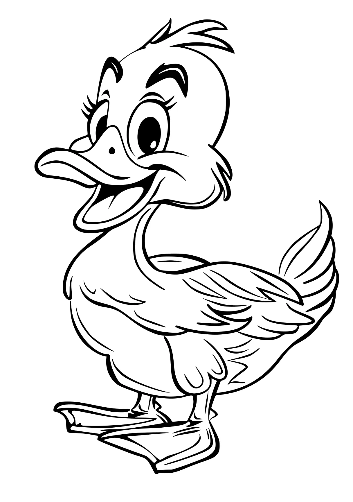 duck coloring pages duck, donald, bird, chick, rooster, free page downloads