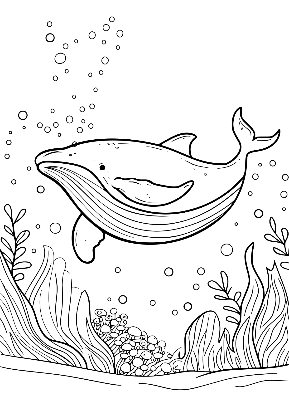 bluey colouring pages whale, whales, dolphin, orca, aquarium, free coloring page downloads