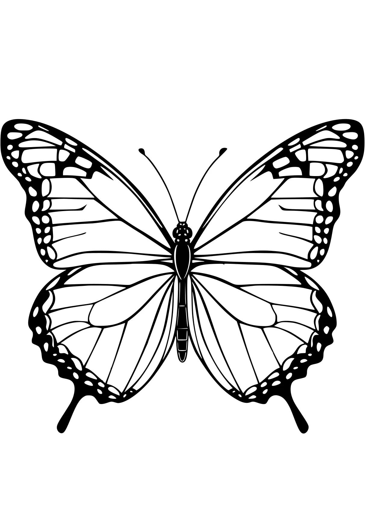 butterfly coloring pages butterfly, butterflies, insect, adult, insects, free page downloads