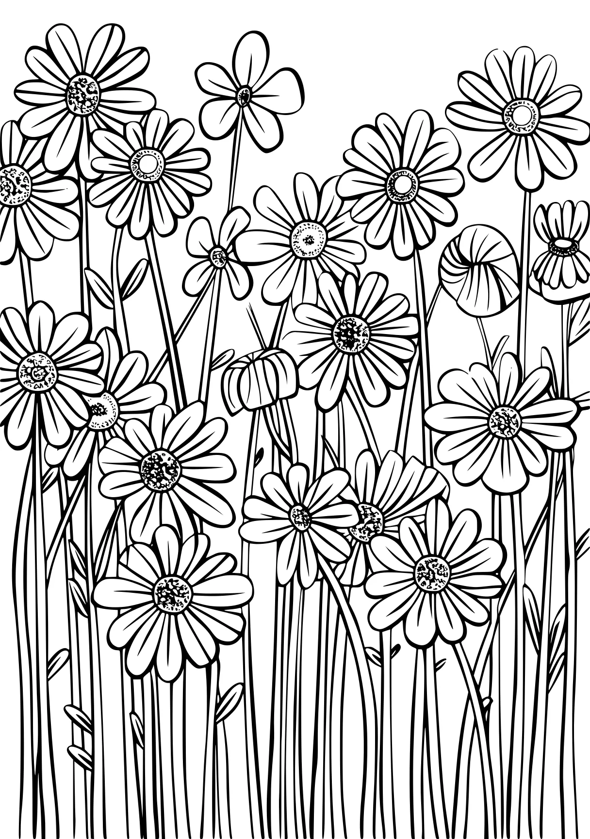 free printable pictures, zentangle, flowers, printables, coloring page downloads