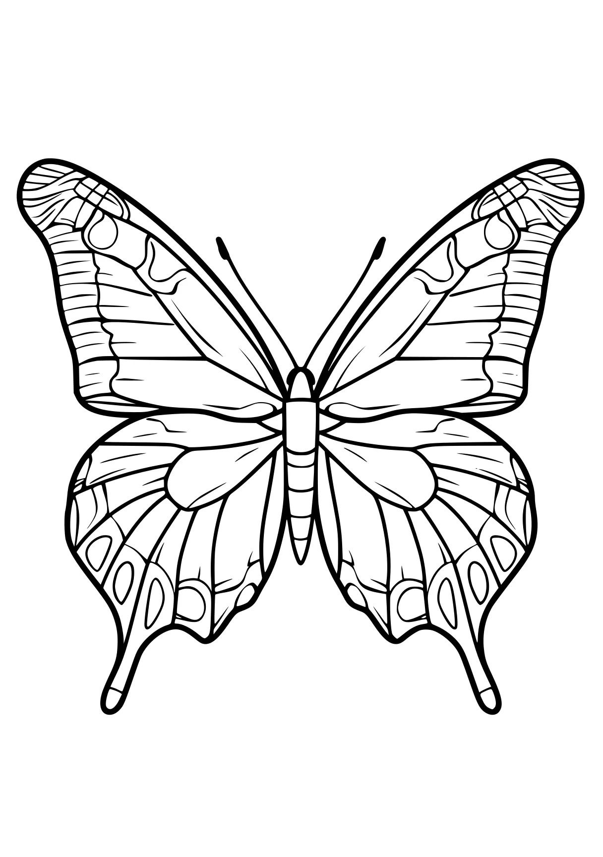 butterfly coloring butterfly, butterflies, adult, insect, size, free page downloads